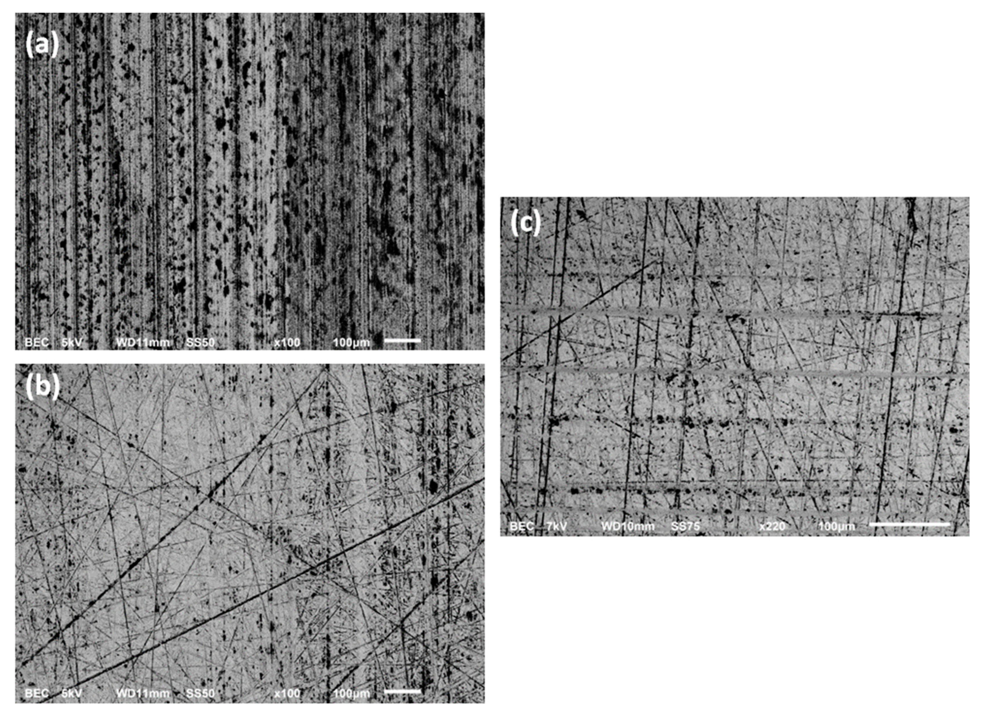Lubricants 12 00292 g005