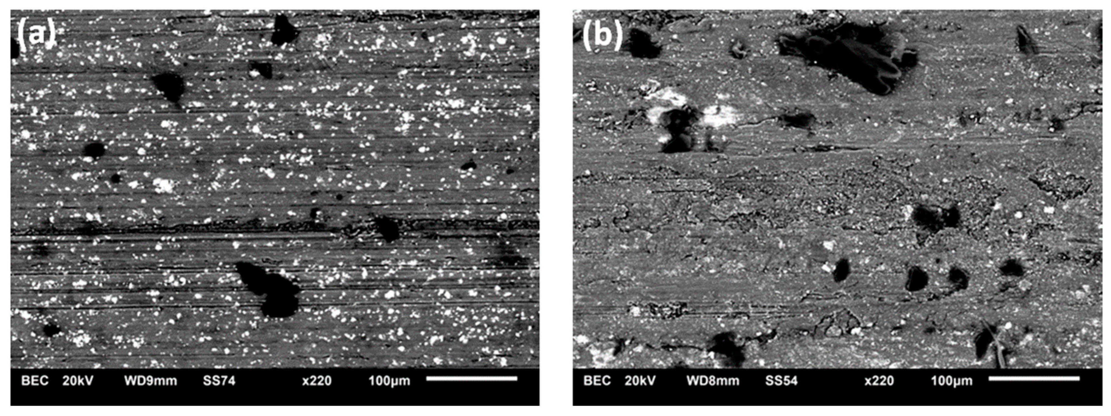 Lubricants 12 00292 g013