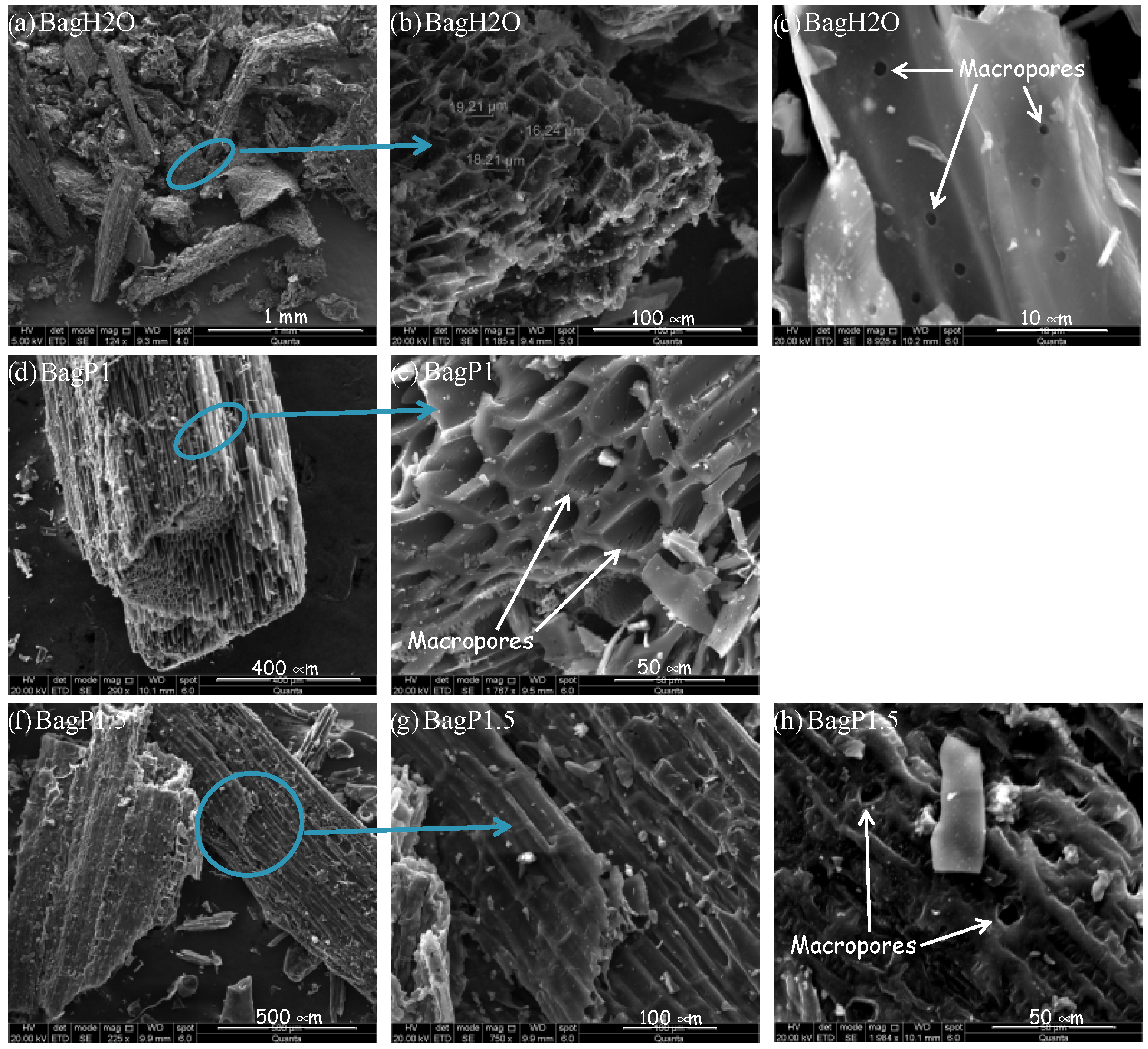 Lubricants 12 00308 g004