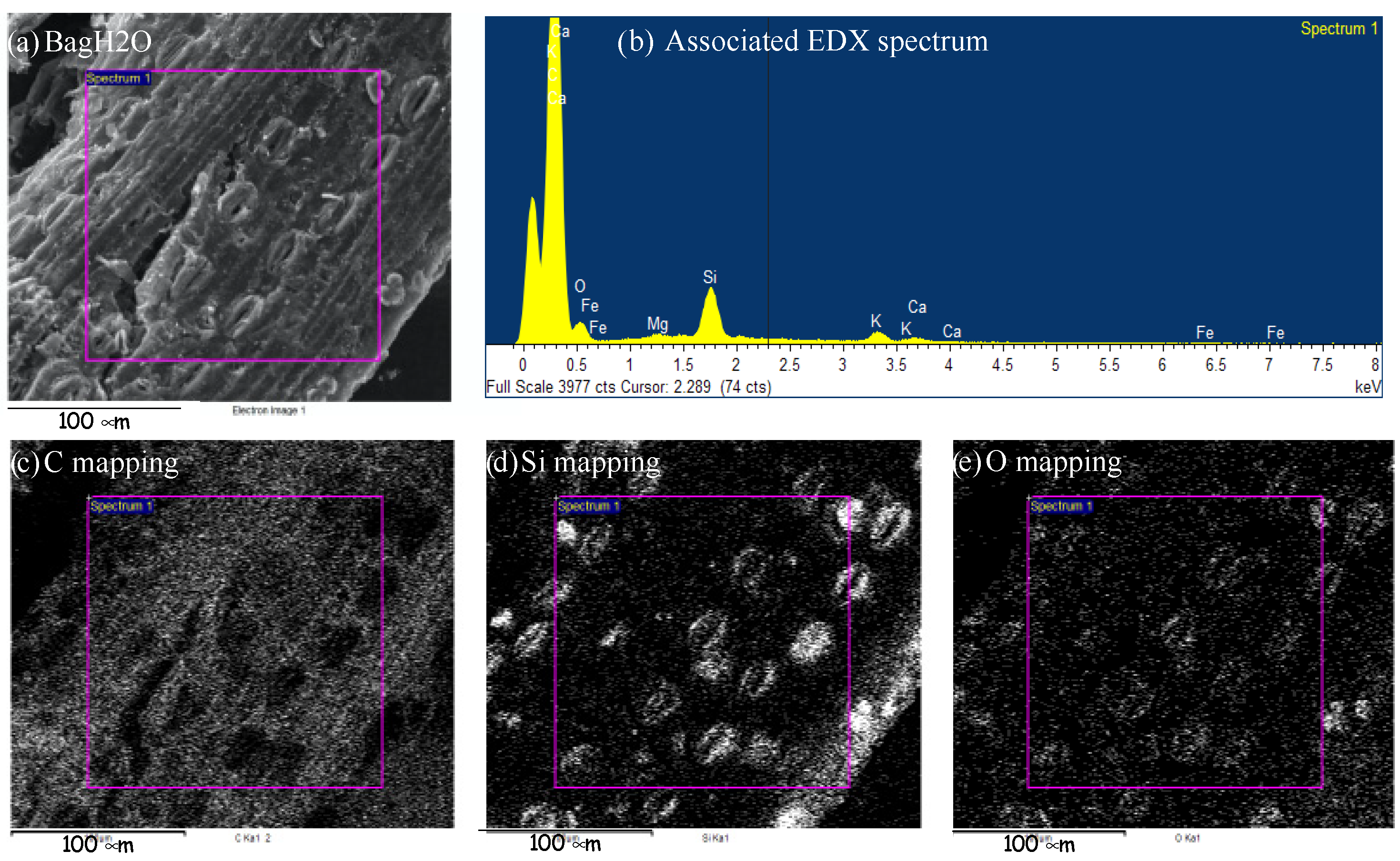 Lubricants 12 00308 g005