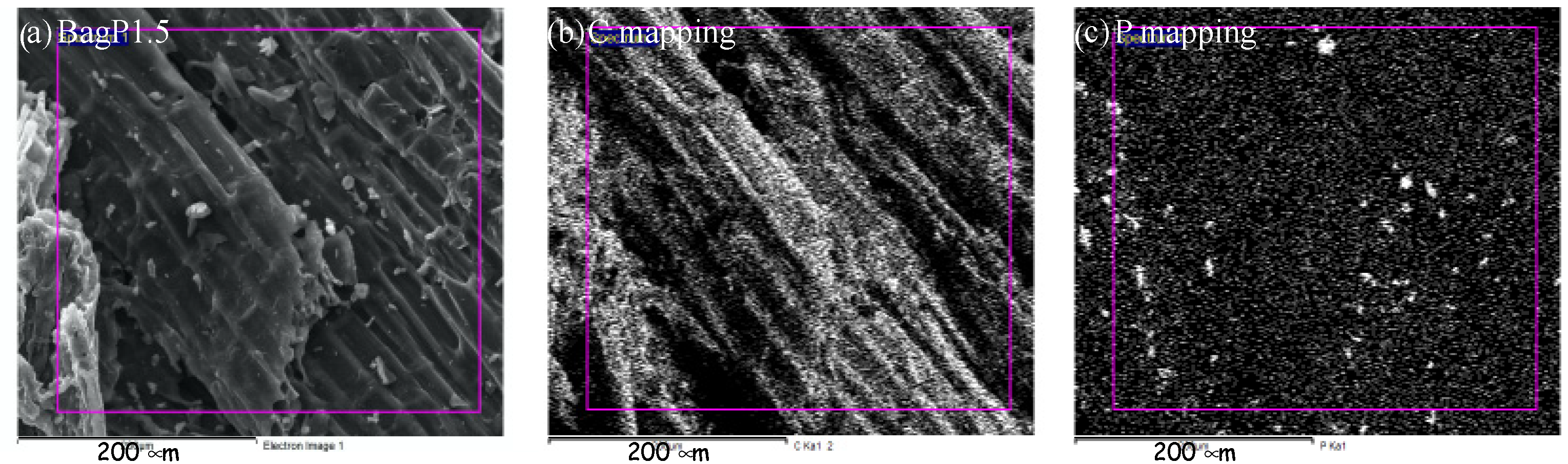 Lubricants 12 00308 g006