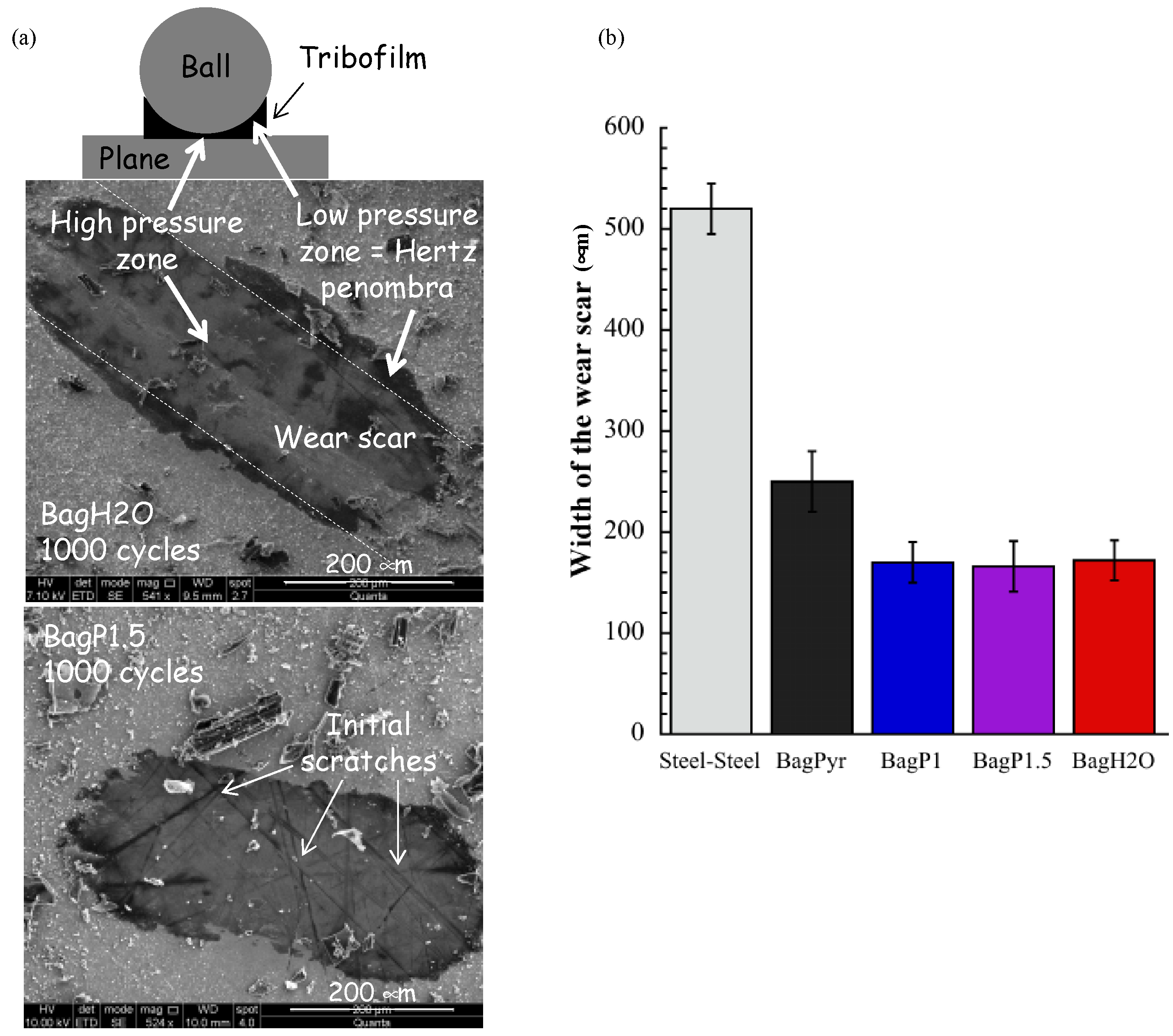 Lubricants 12 00308 g013
