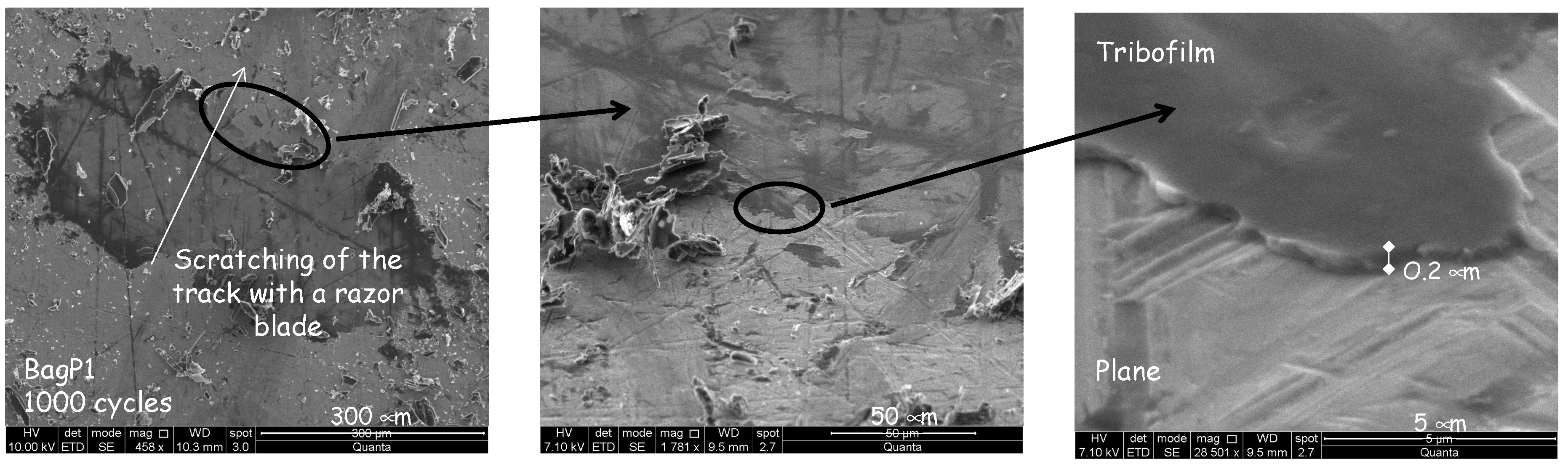 Lubricants 12 00308 g014