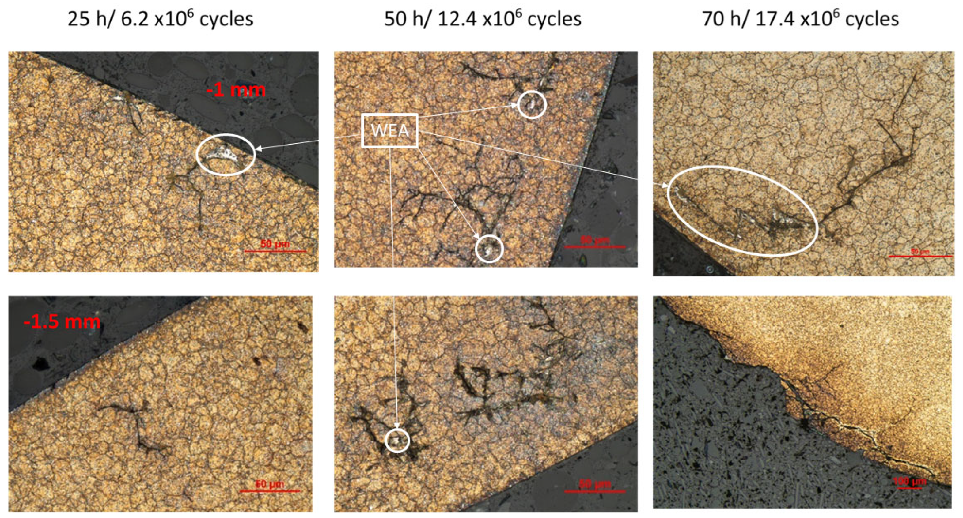 Lubricants 12 00311 g005