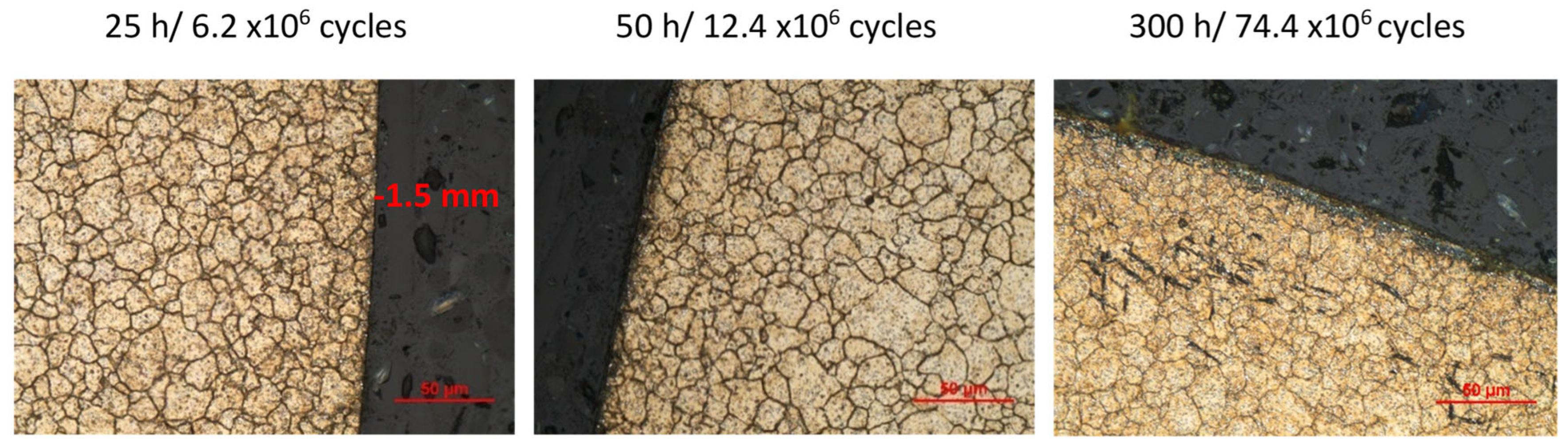 Lubricants 12 00311 g006