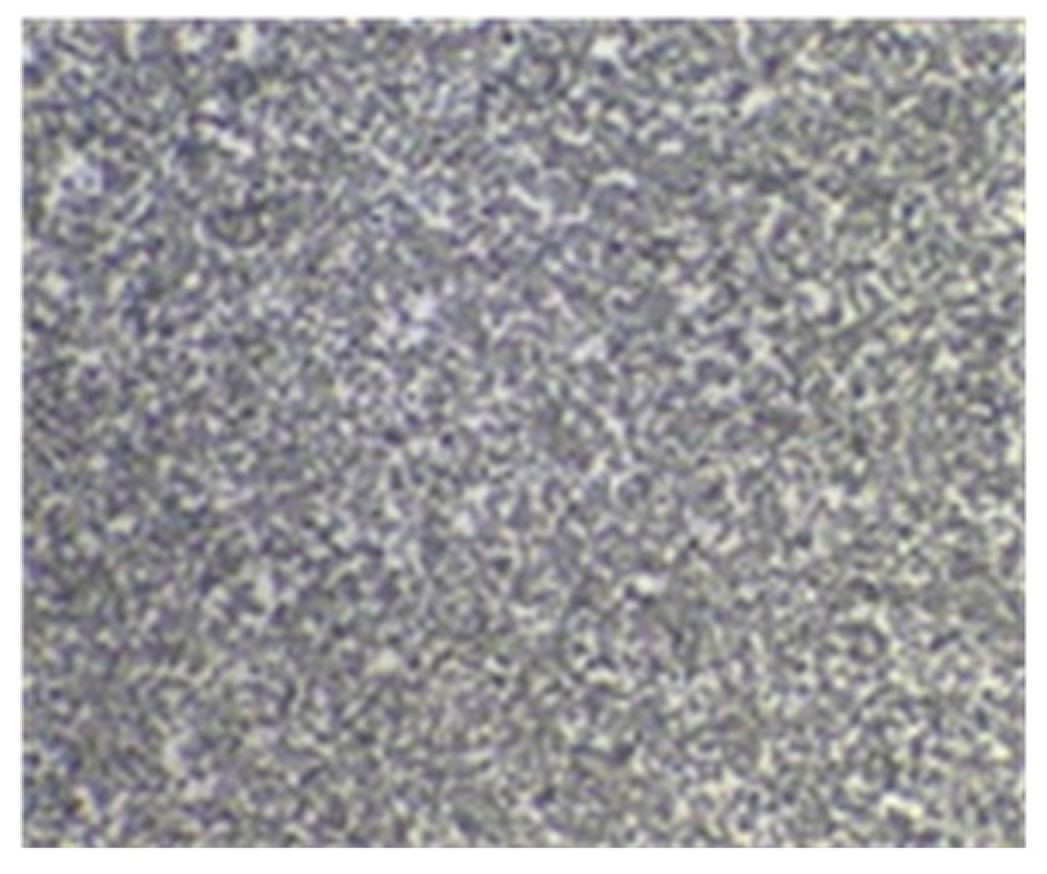 Lubricants 12 00316 g015 Lubricants 12 00316 g015