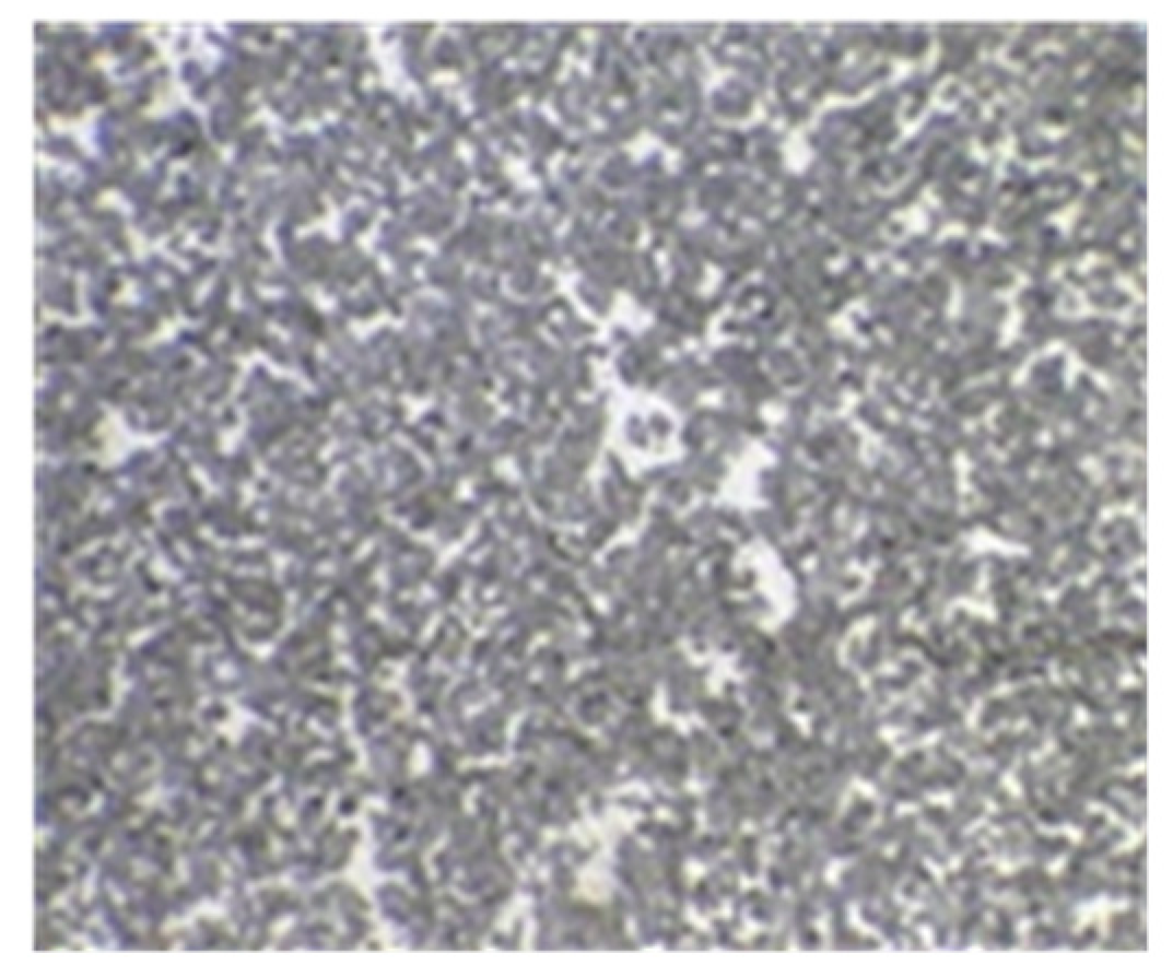 Lubricants 12 00316 g016 Lubricants 12 00316 g016