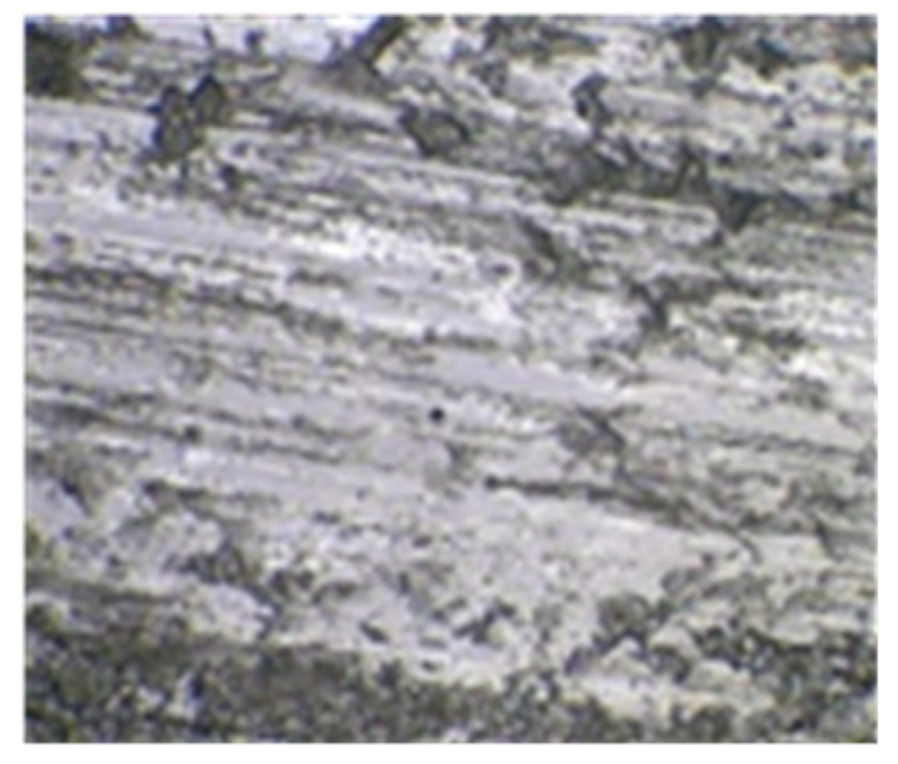 Lubricants 12 00316 g018 Lubricants 12 00316 g018