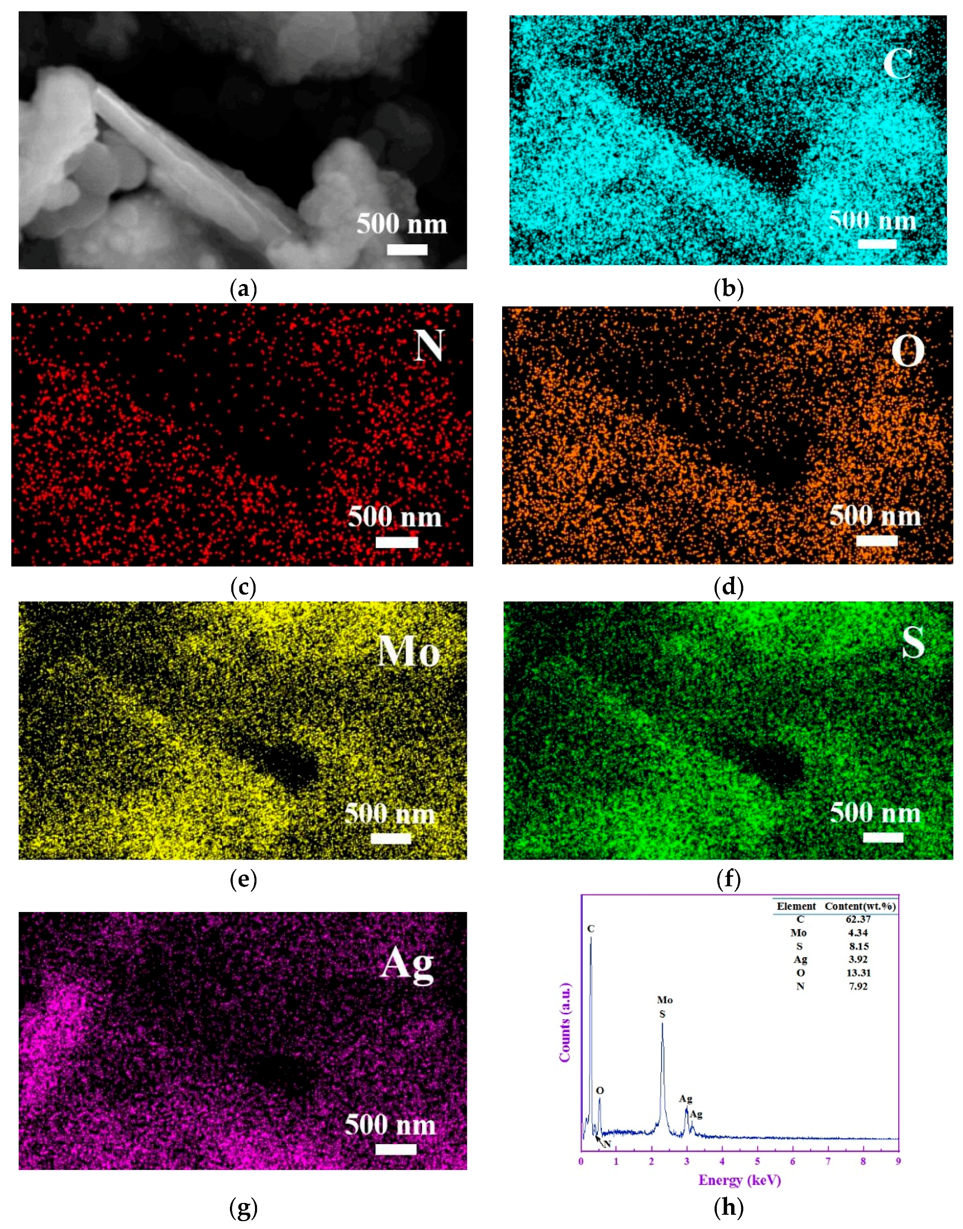 Lubricants 12 00319 g003