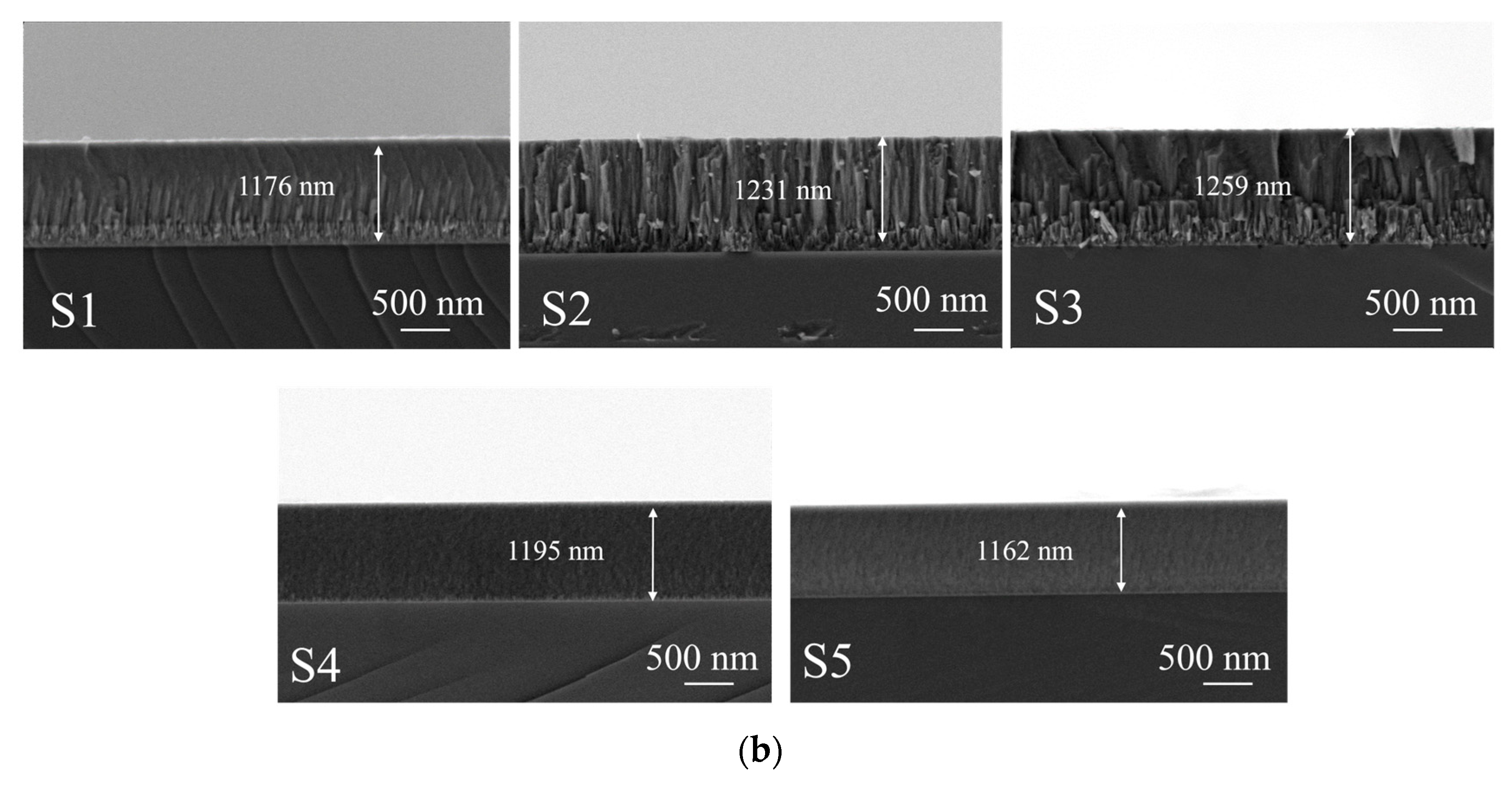 Lubricants 12 00325 g001b