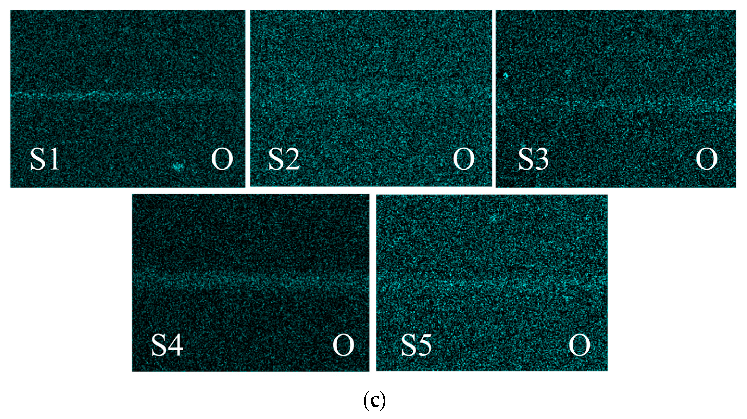 Lubricants 12 00325 g005b
