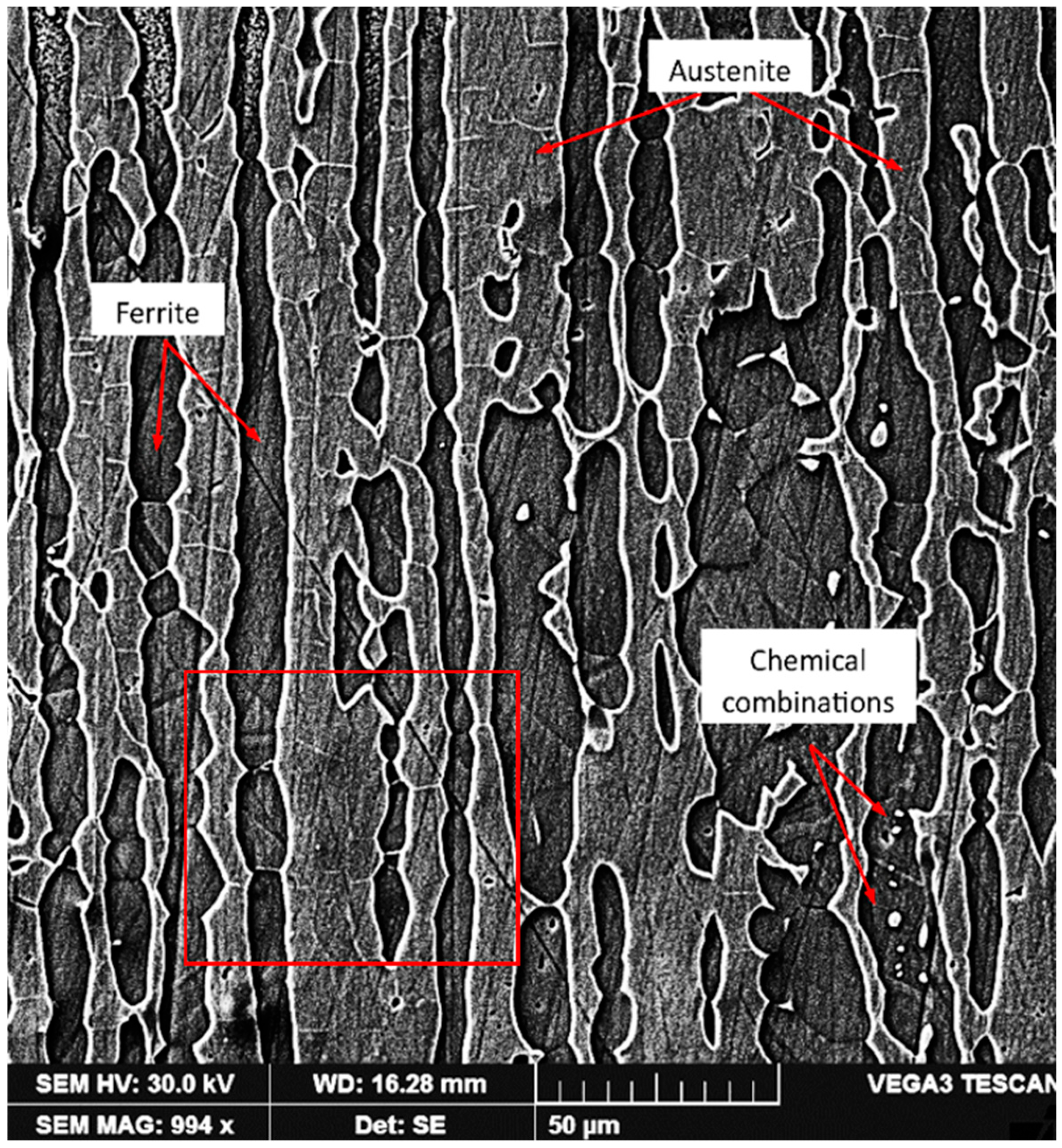 Lubricants 12 00330 g005