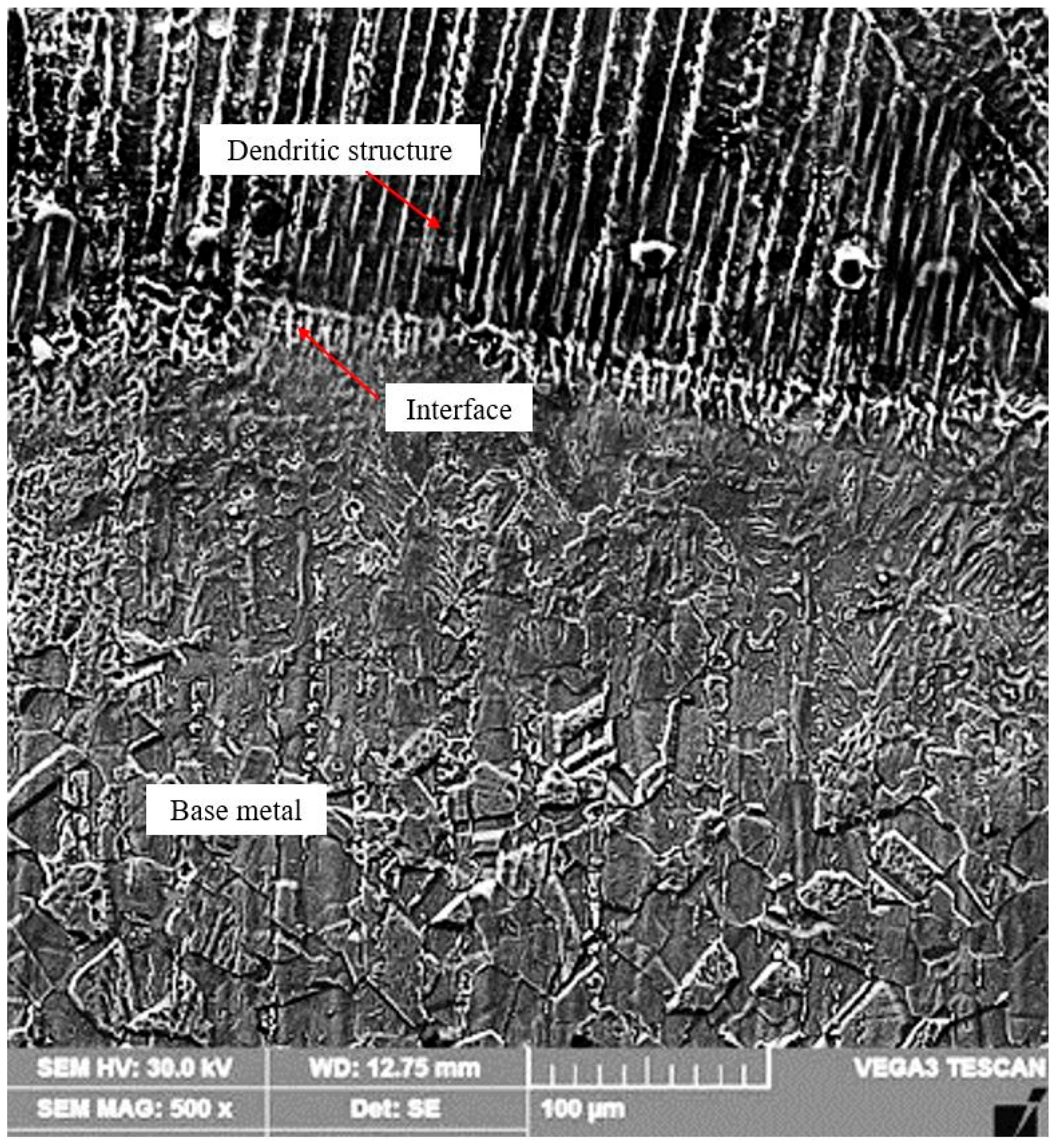 Lubricants 12 00330 g006