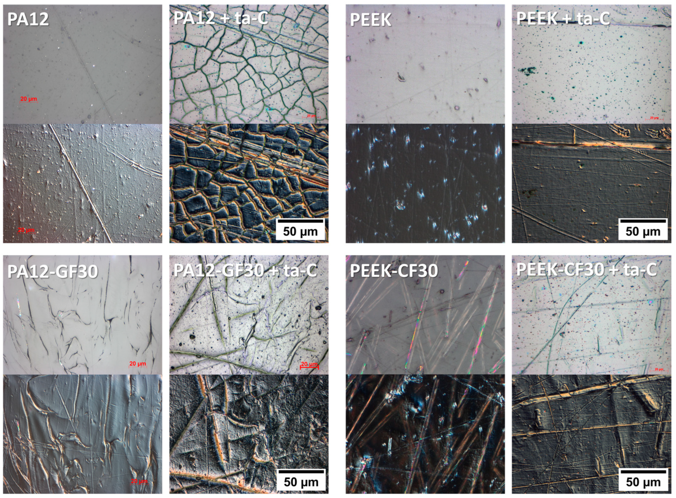 Lubricants 12 00331 g001