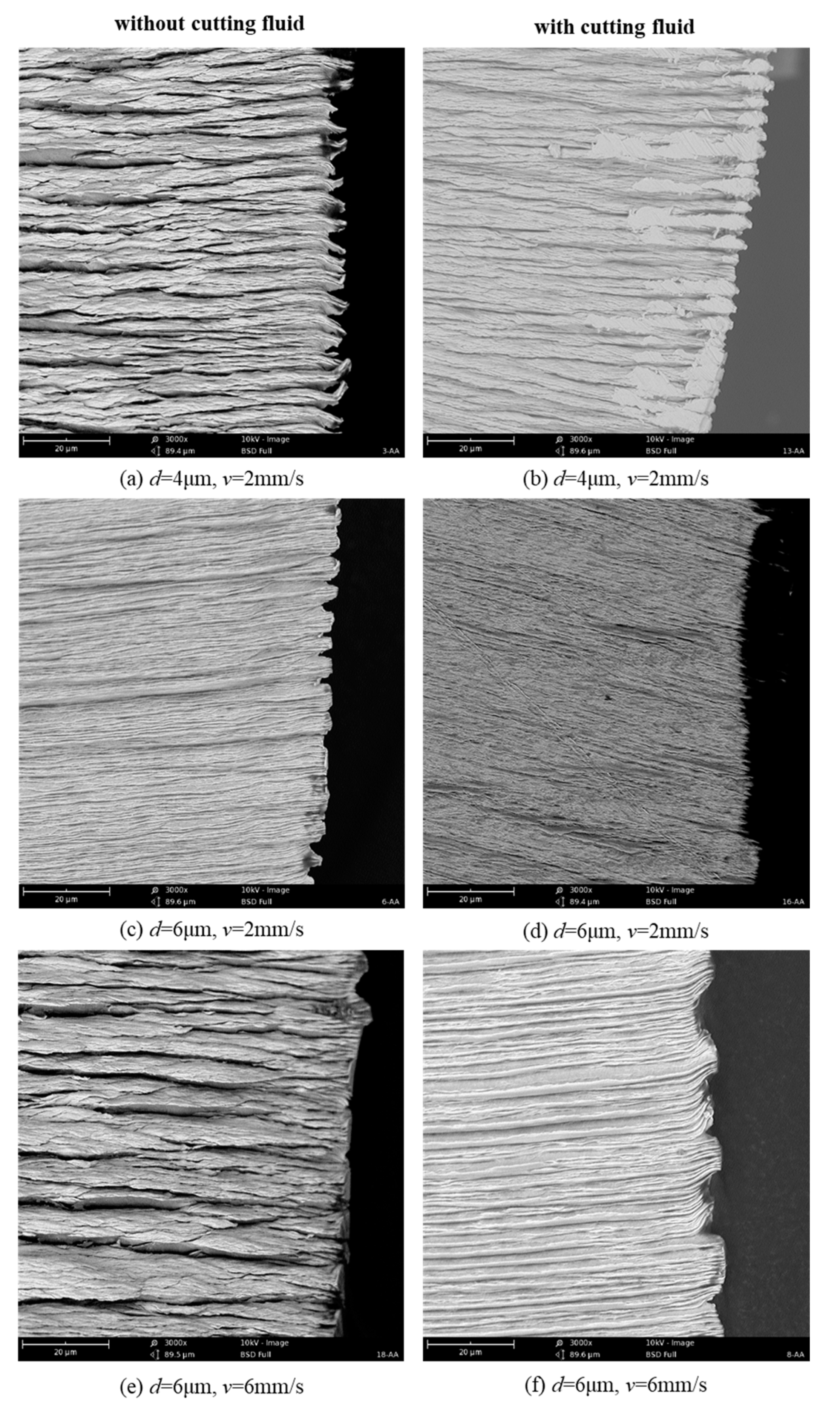 Lubricants 12 00333 g008