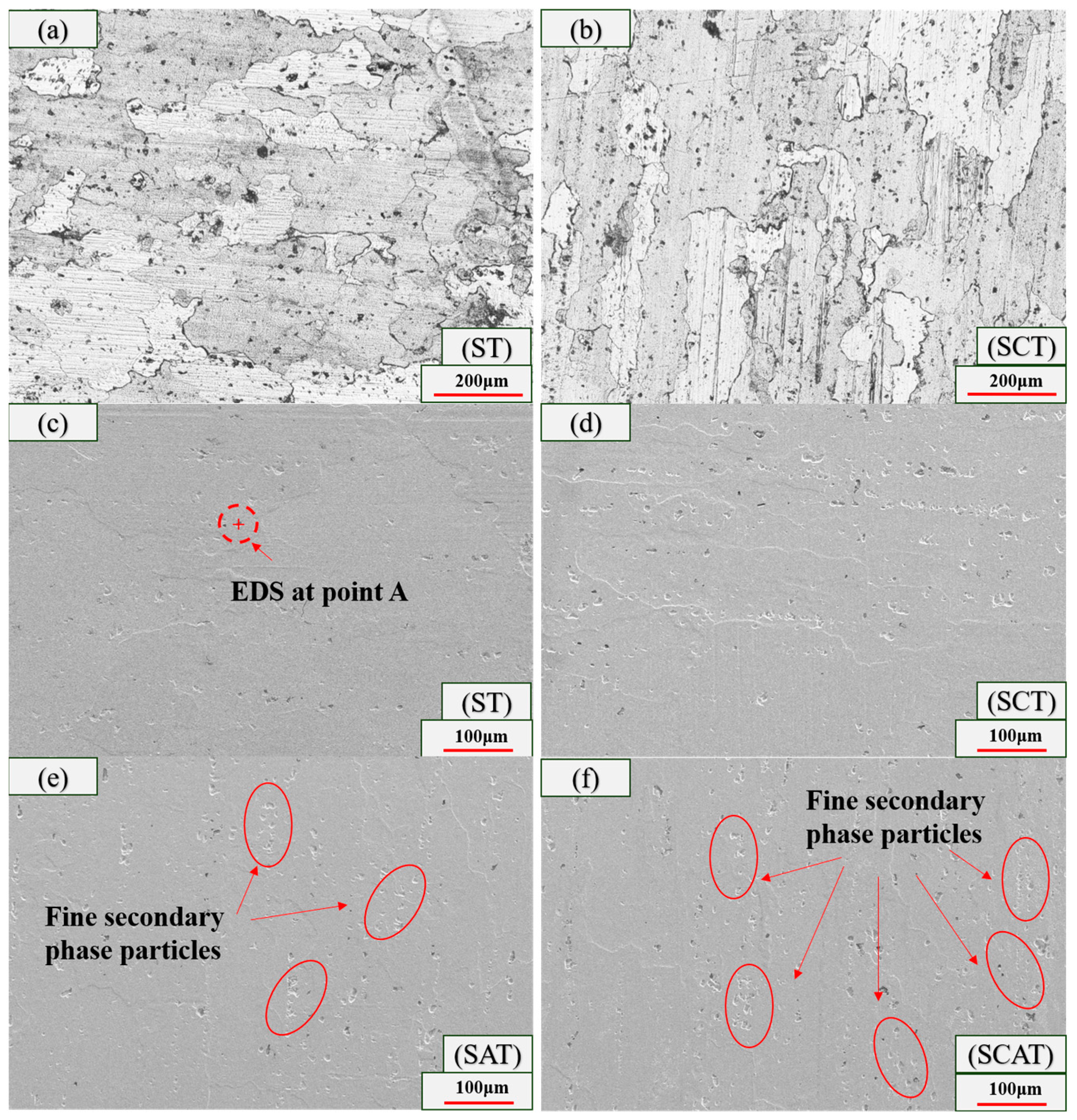 Lubricants 12 00336 g007