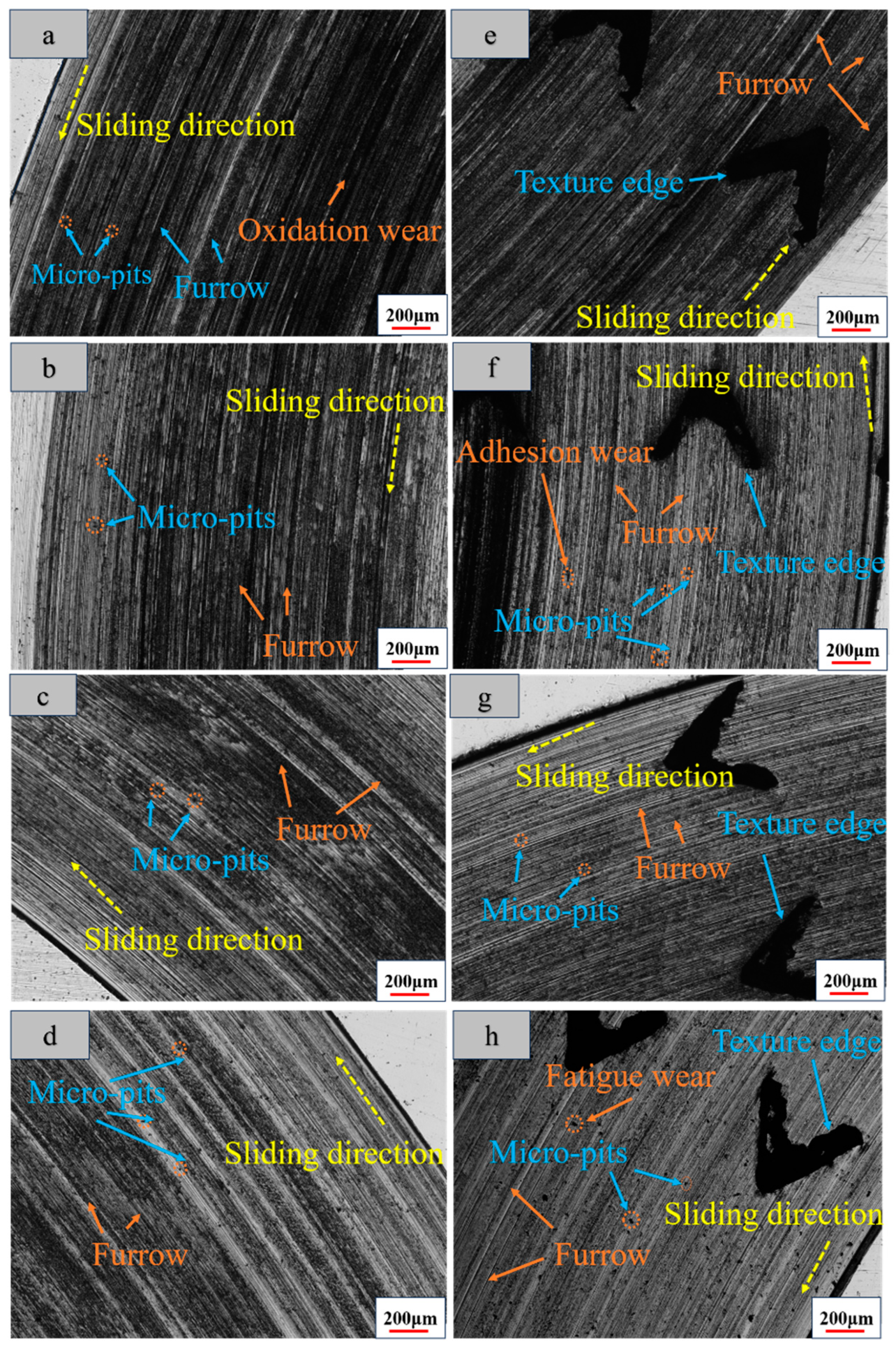 Lubricants 12 00336 g013