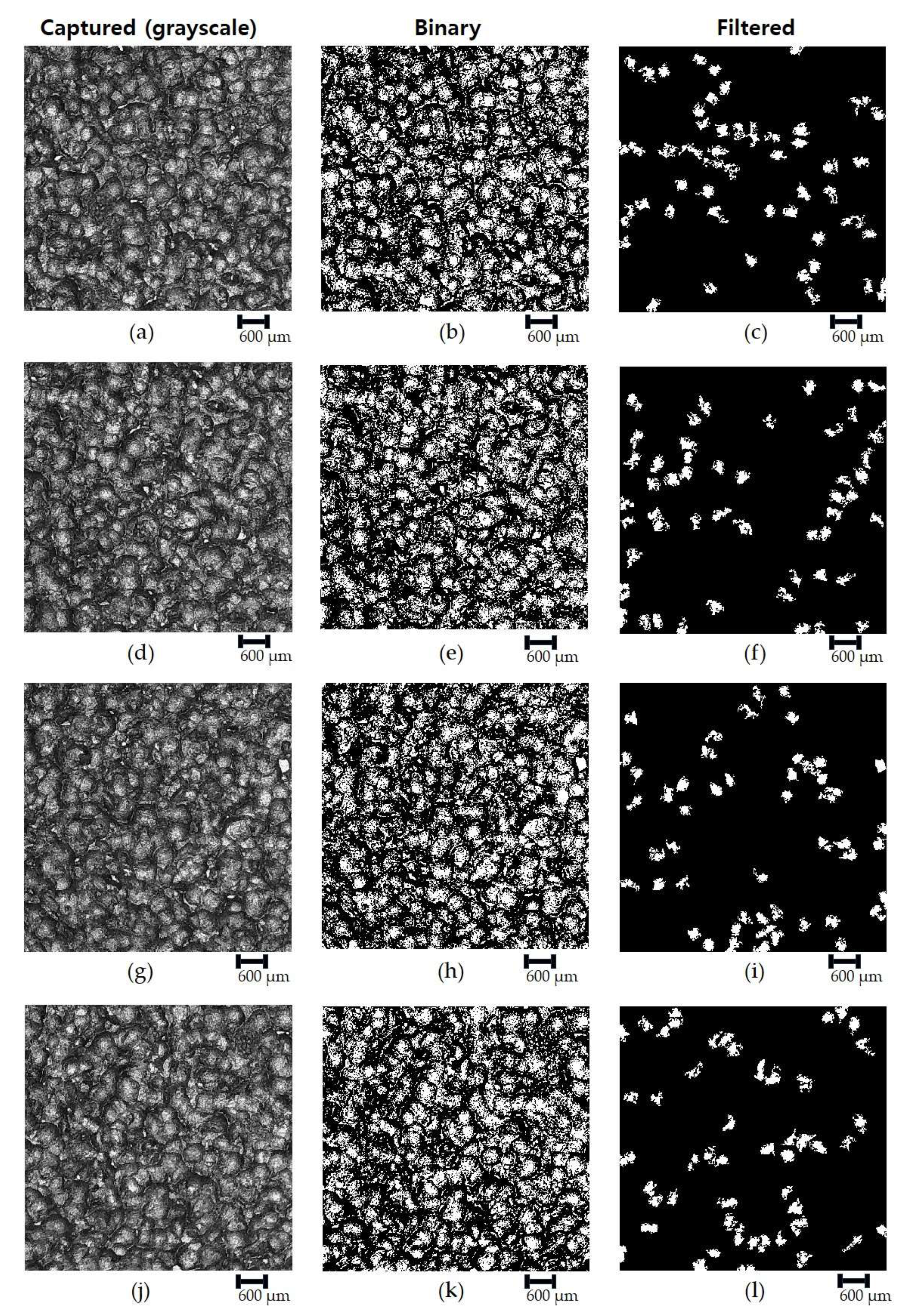 Lubricants 12 00339 g003
