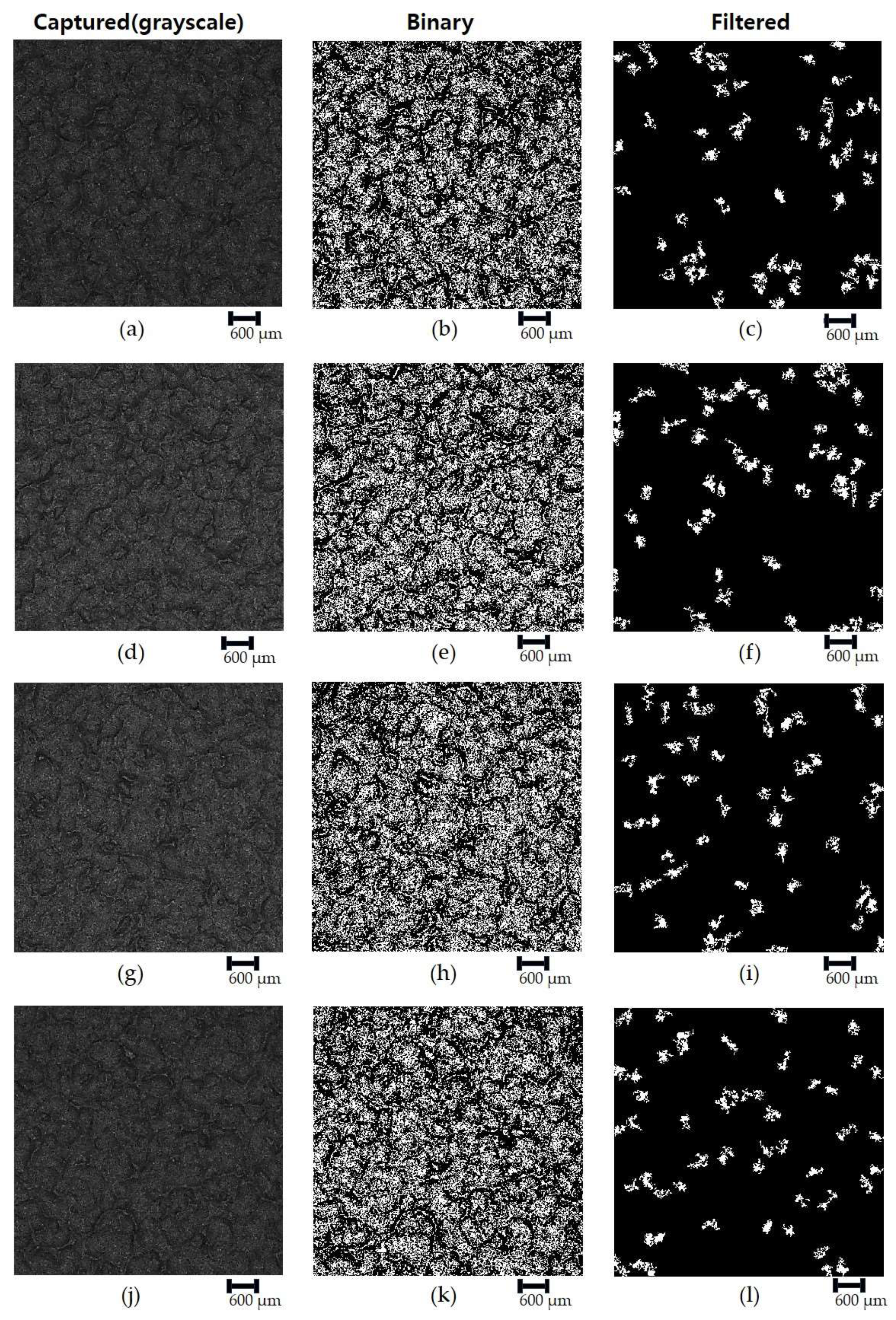 Lubricants 12 00339 g006