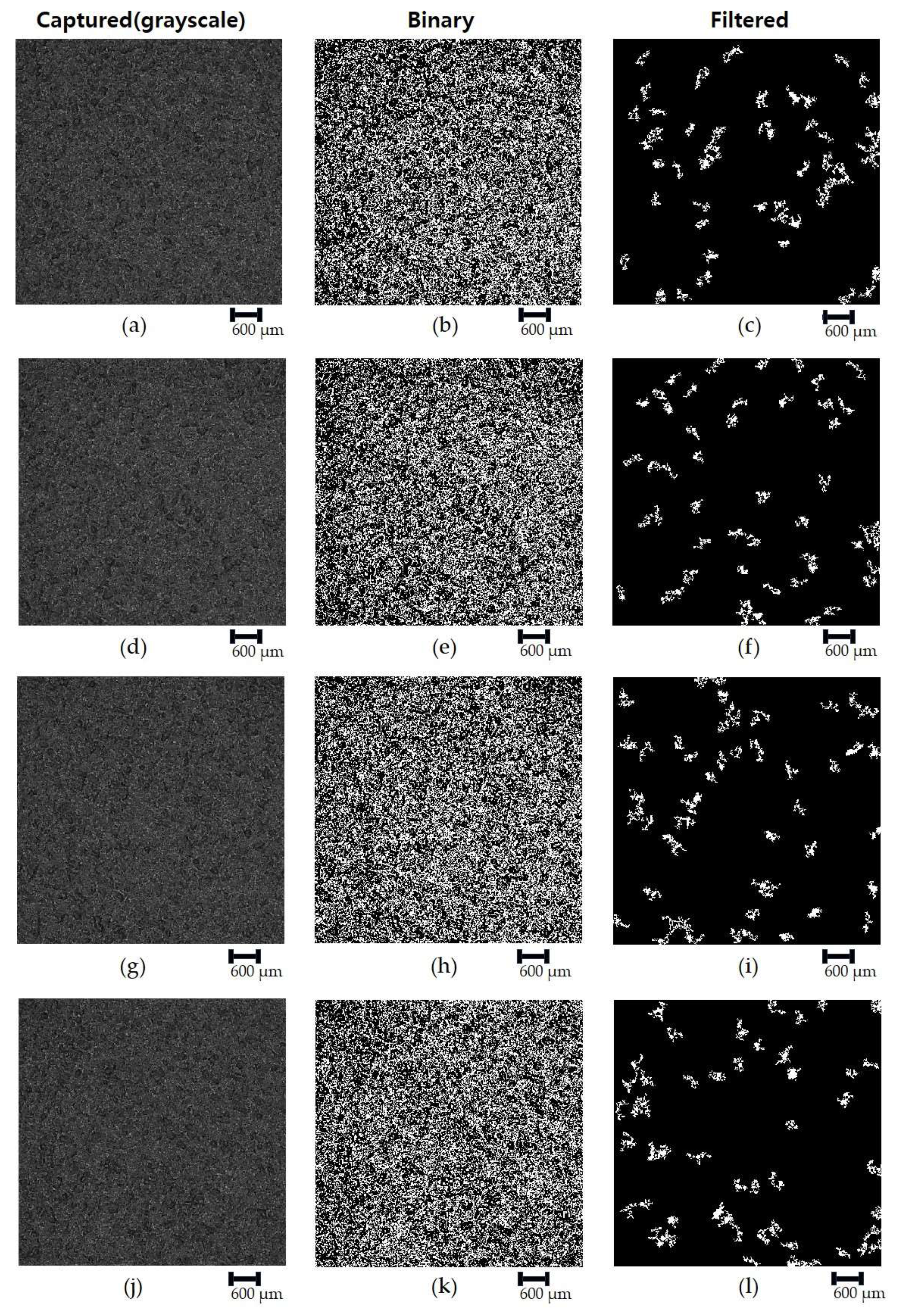 Lubricants 12 00339 g007