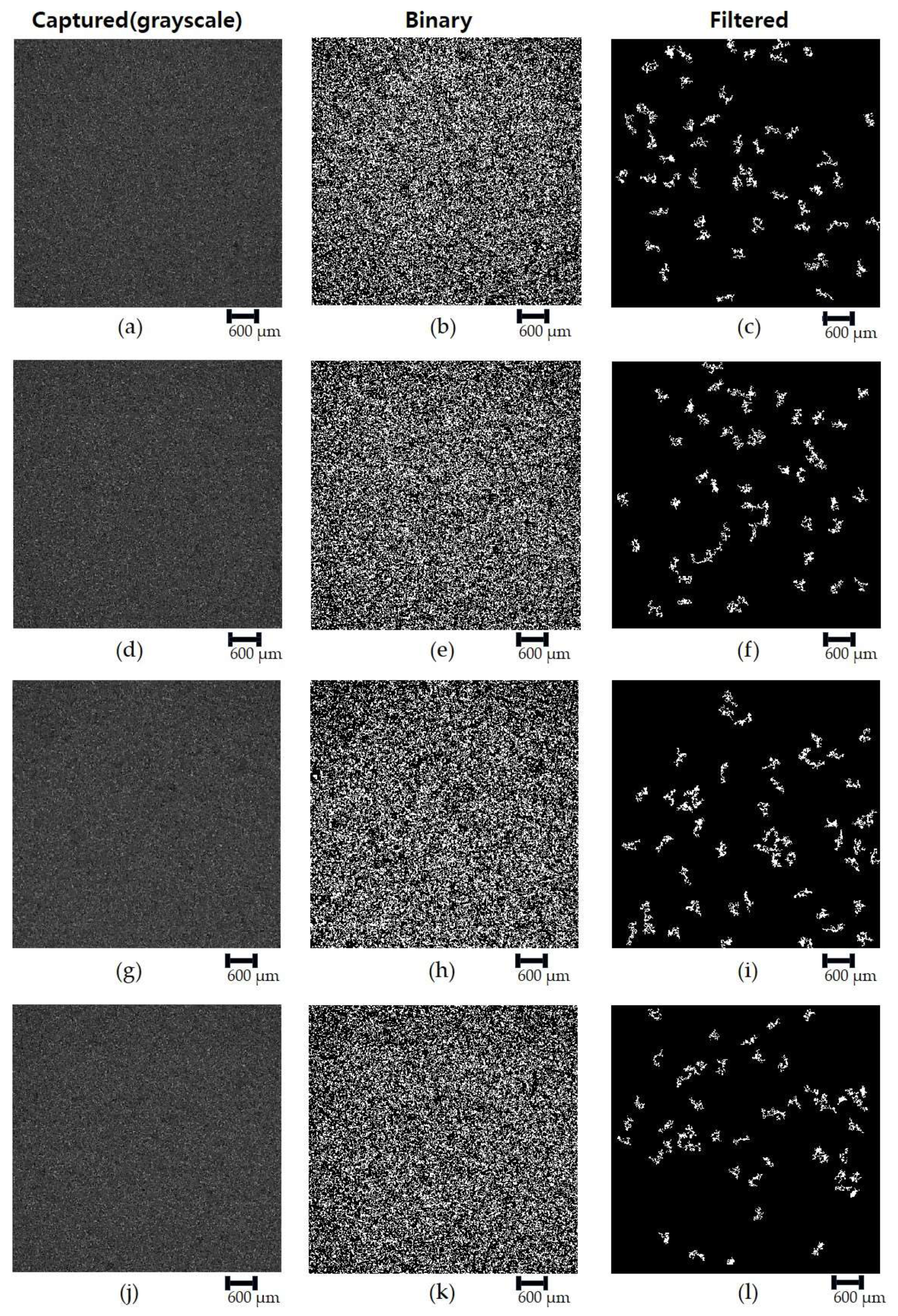 Lubricants 12 00339 g008