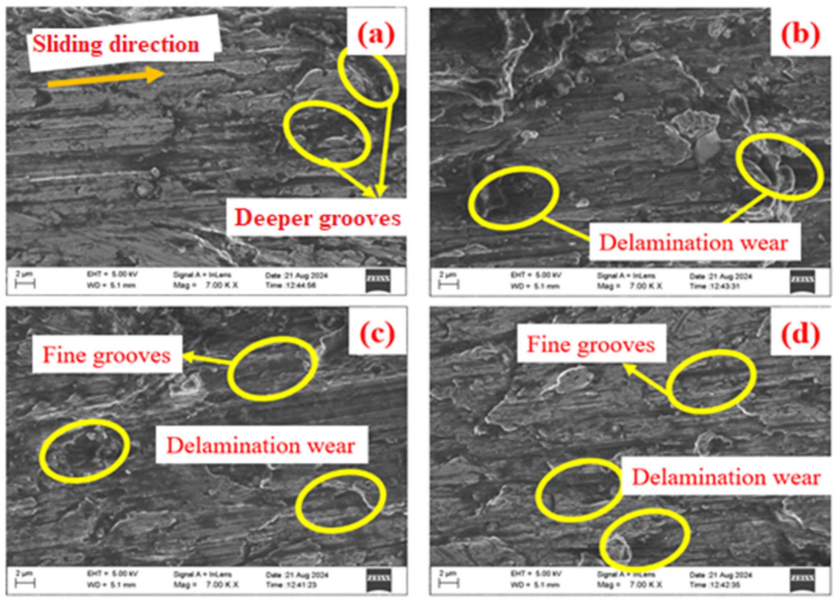 Lubricants 12 00341 g011