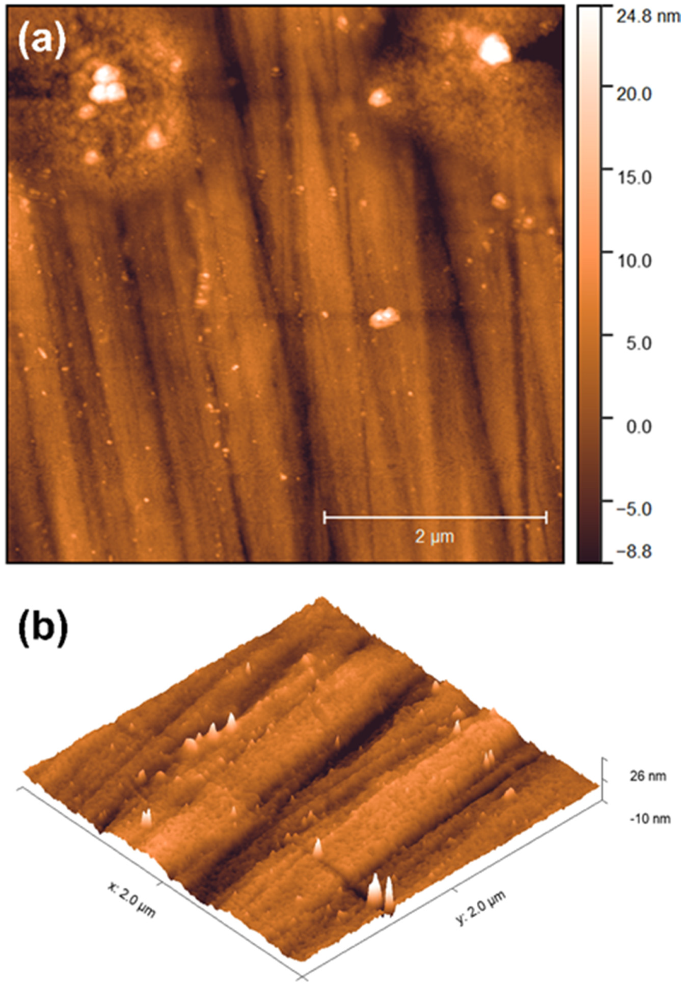 Lubricants 12 00345 g003