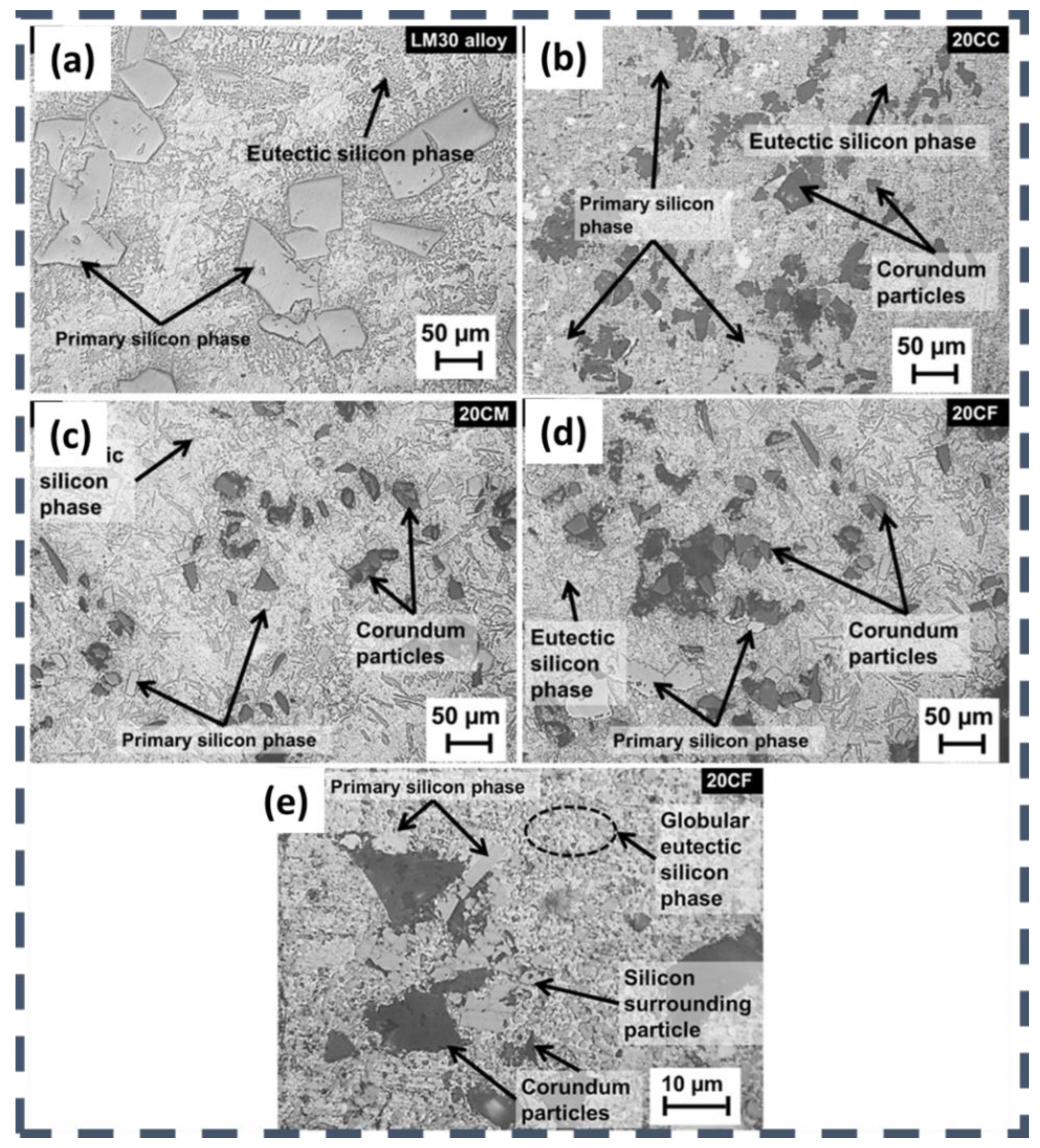 Lubricants 12 00350 g007