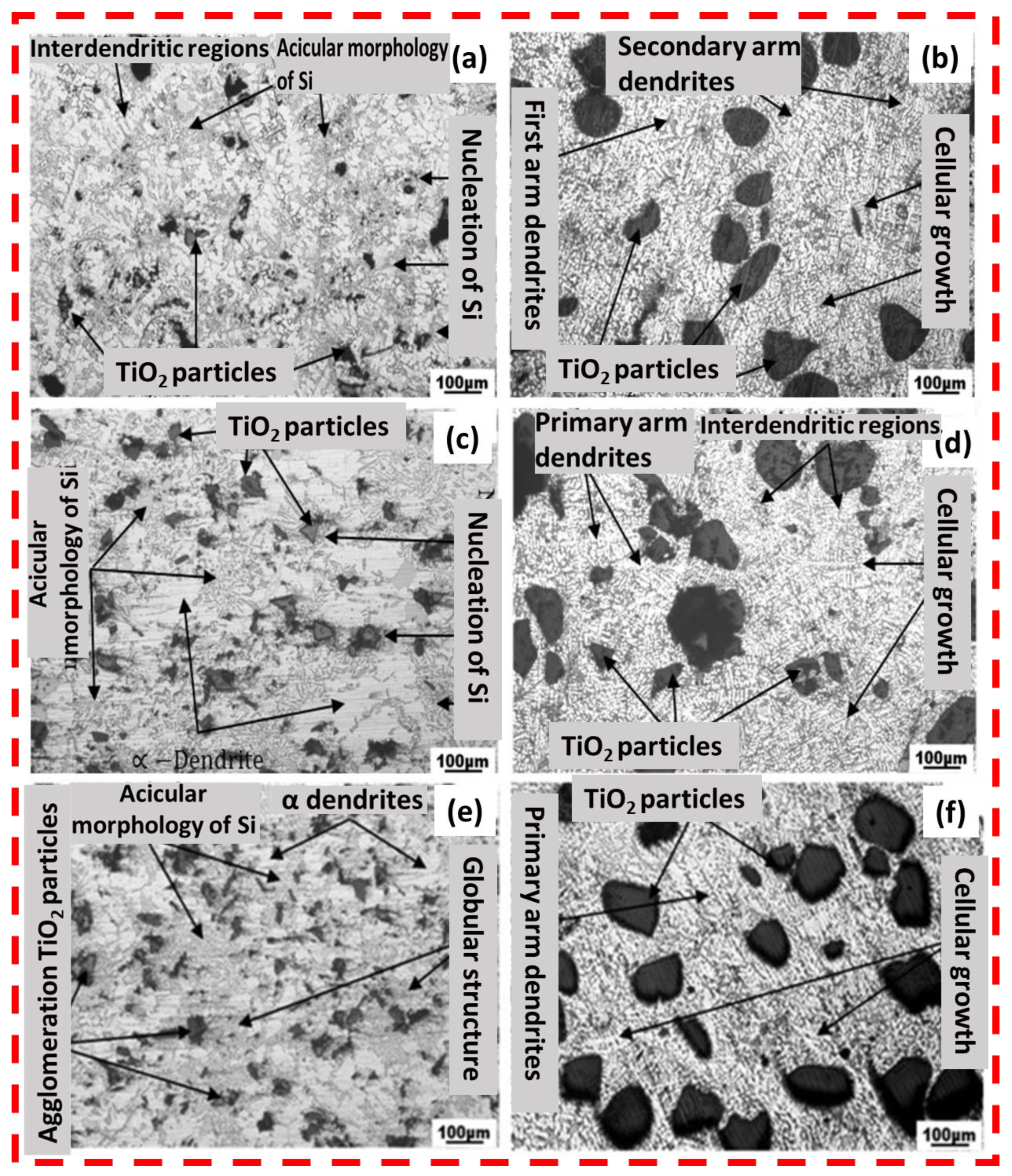 Lubricants 12 00350 g008