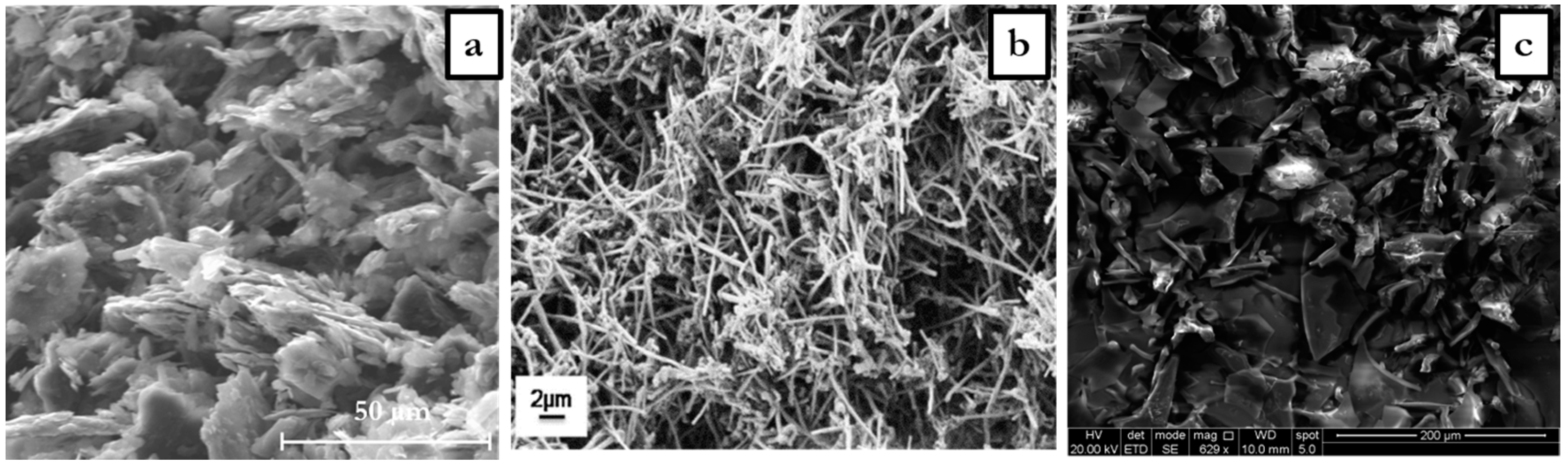 Lubricants 12 00358 g001