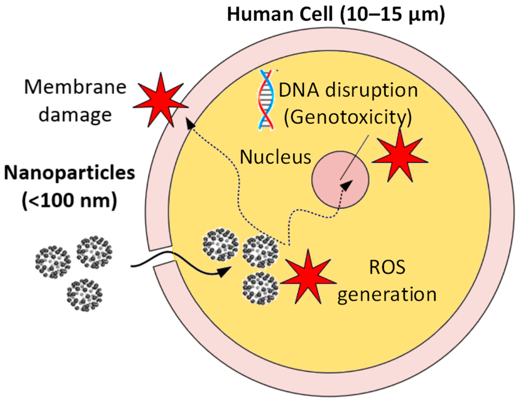 Lubricants 12 00359 g004