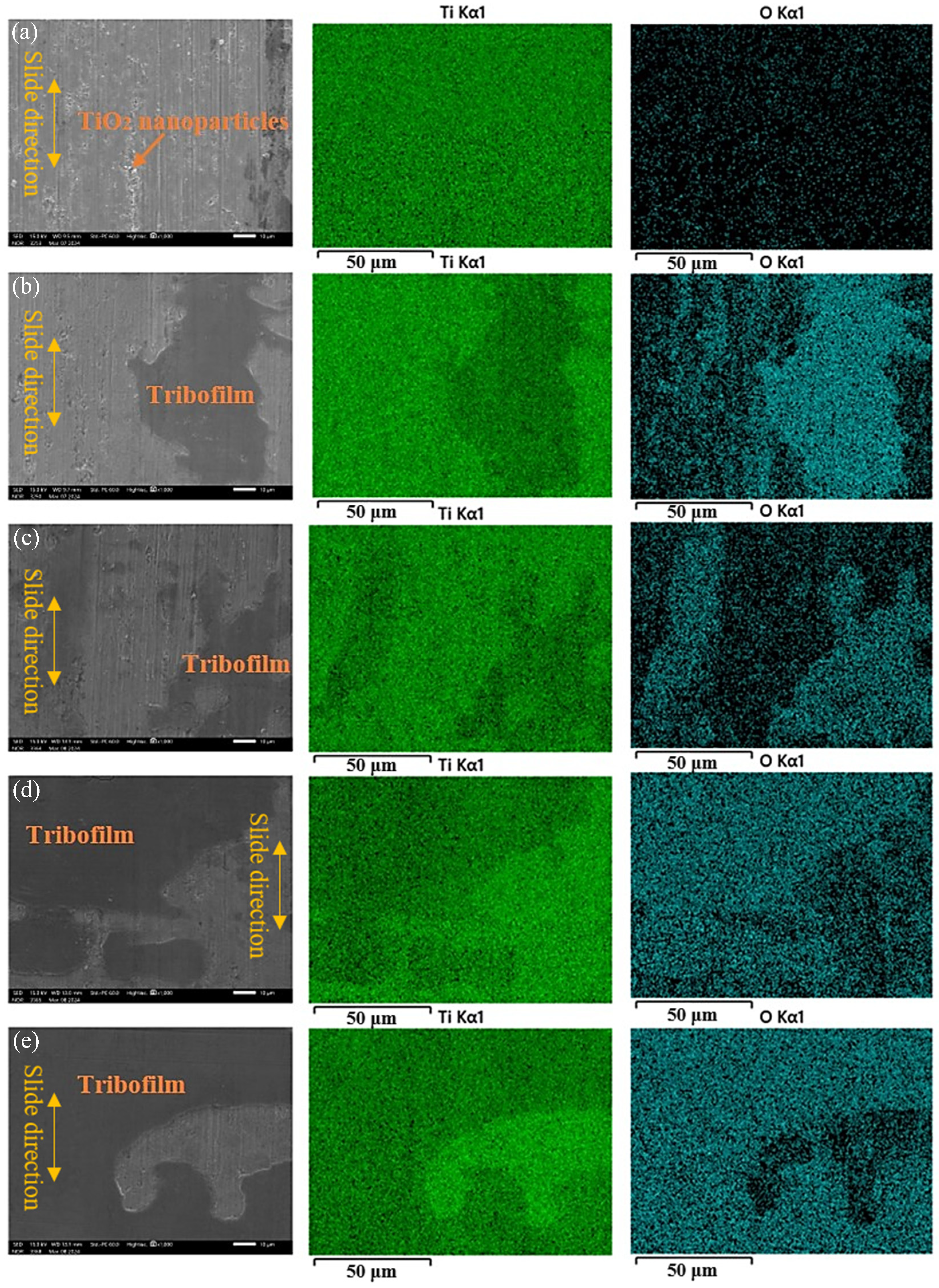 Lubricants 12 00361 g005