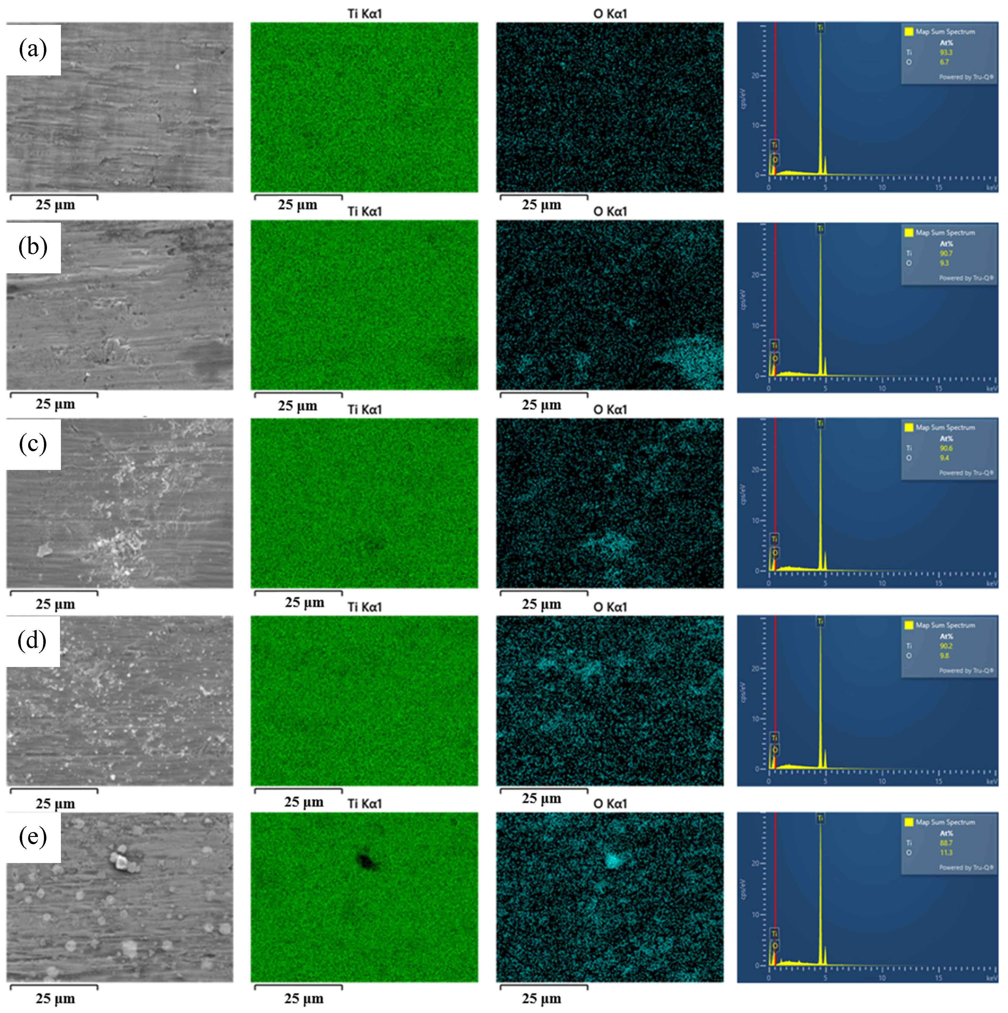 Lubricants 12 00361 g009