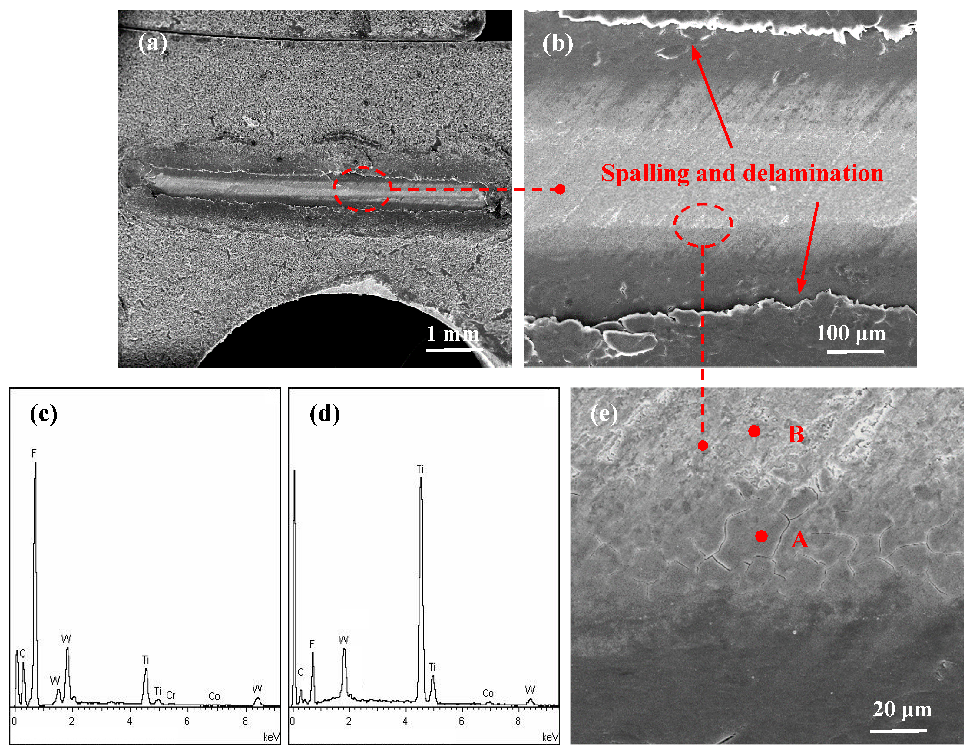 Lubricants 12 00363 g010