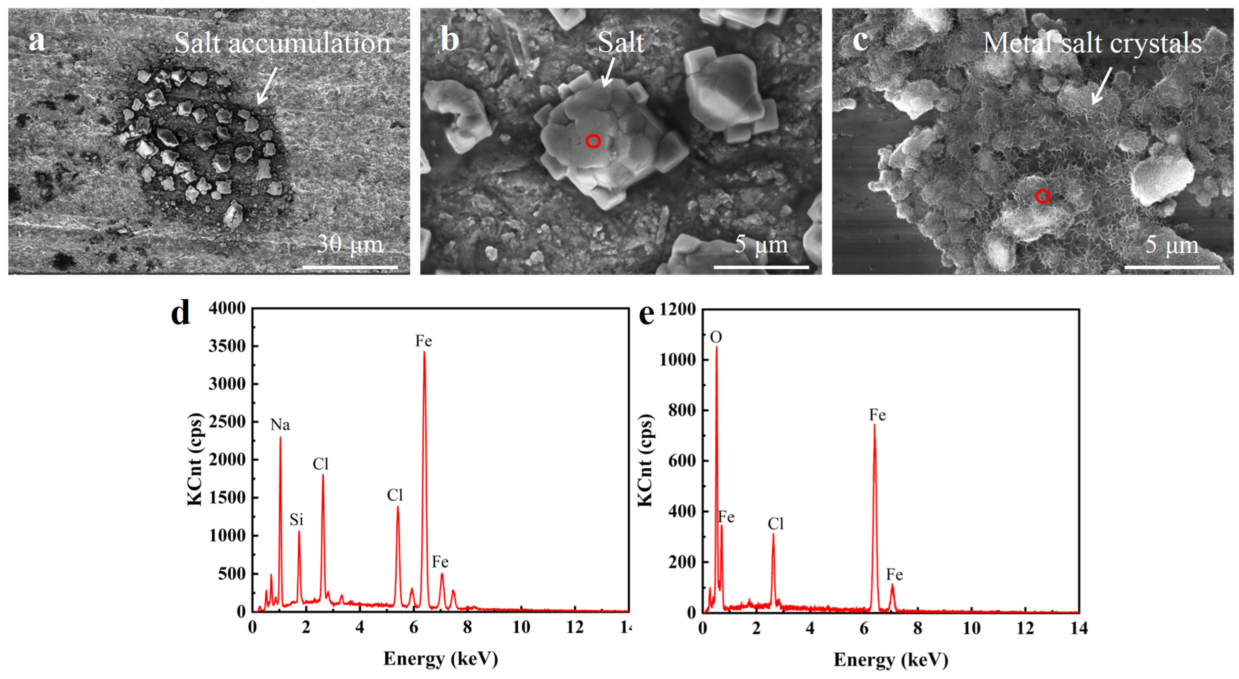 Lubricants 12 00367 g009
