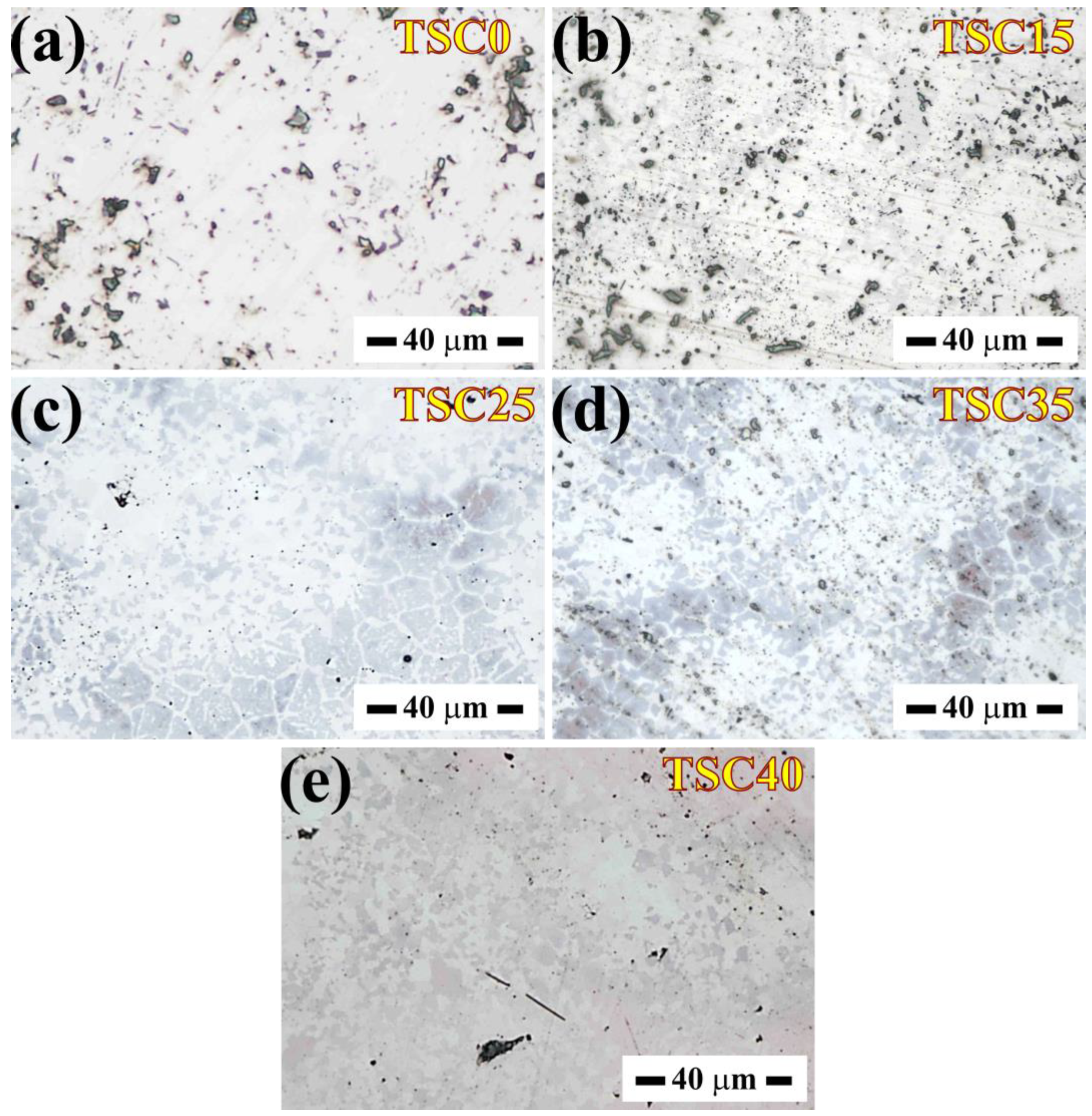 Lubricants 12 00368 g002