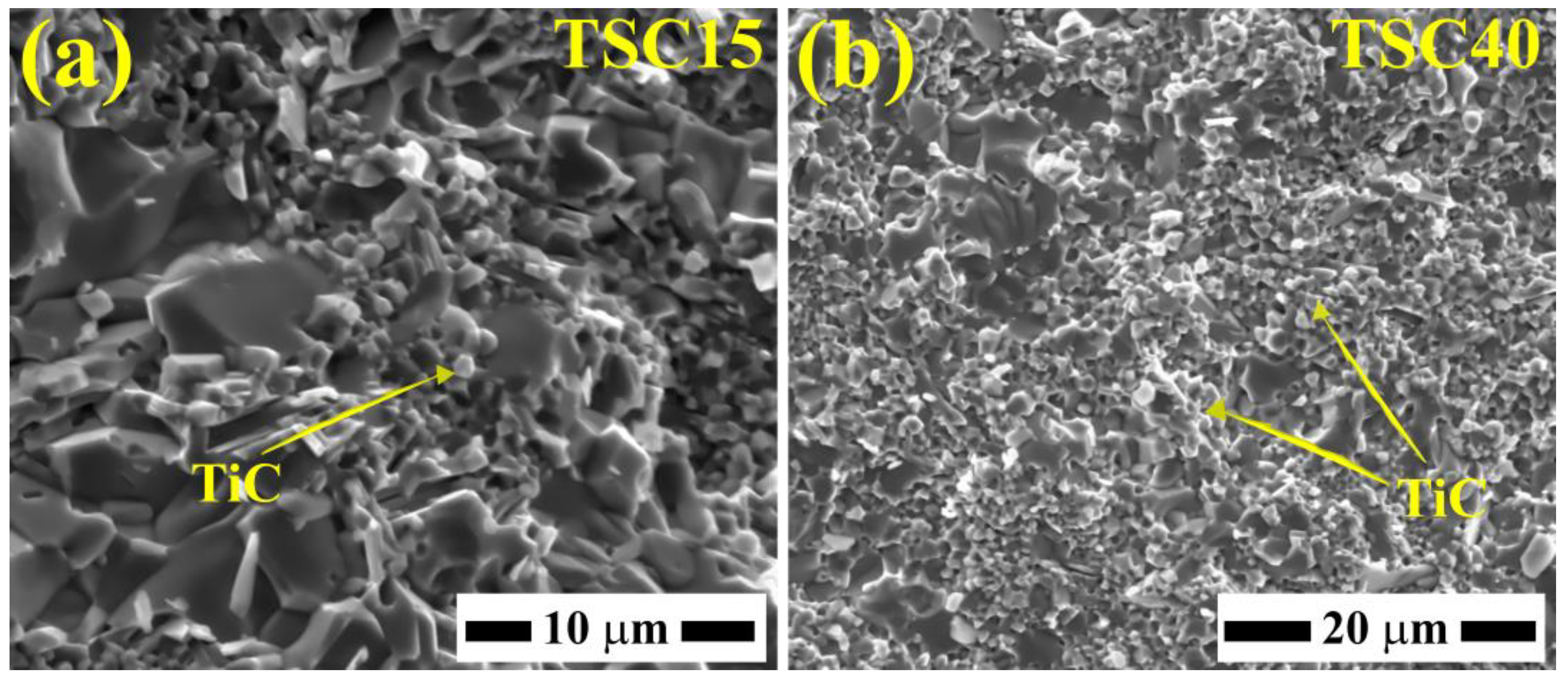 Lubricants 12 00368 g003