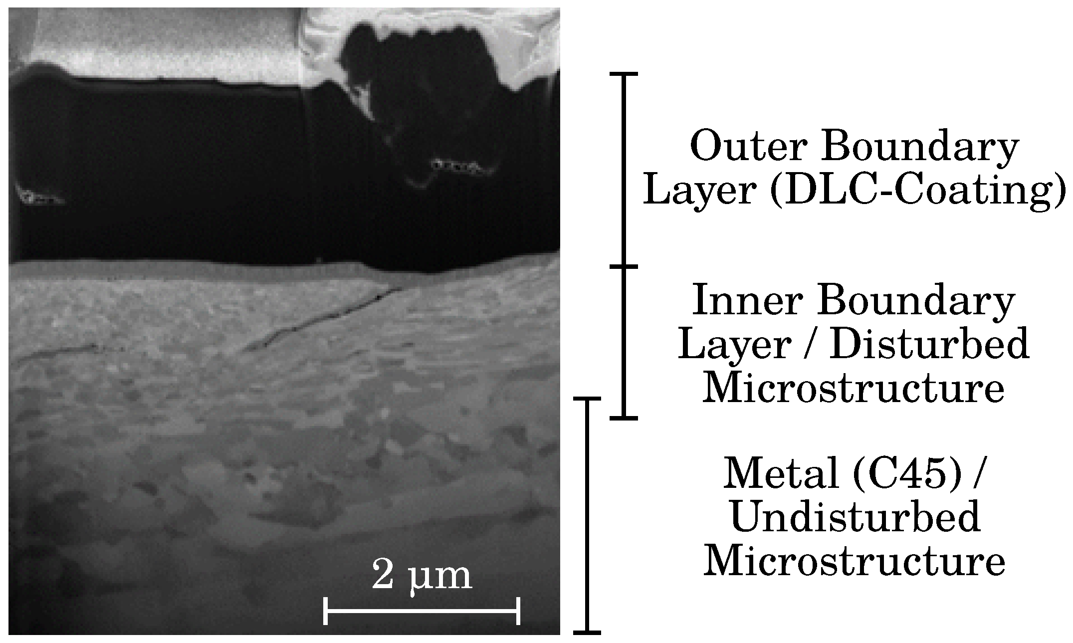 Lubricants 12 00371 g001