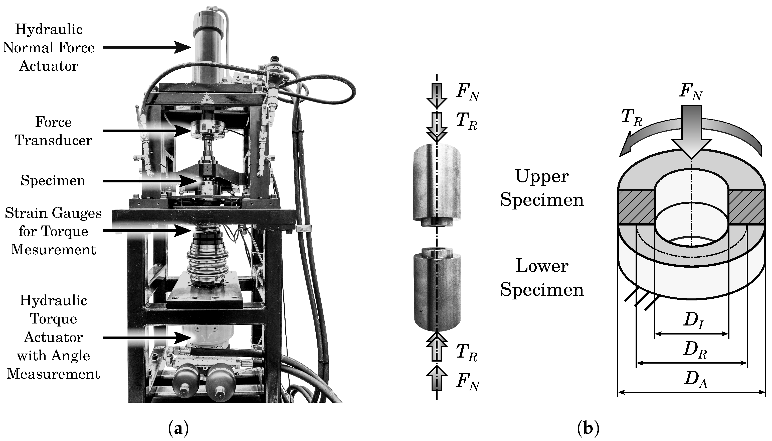 Lubricants 12 00371 g008