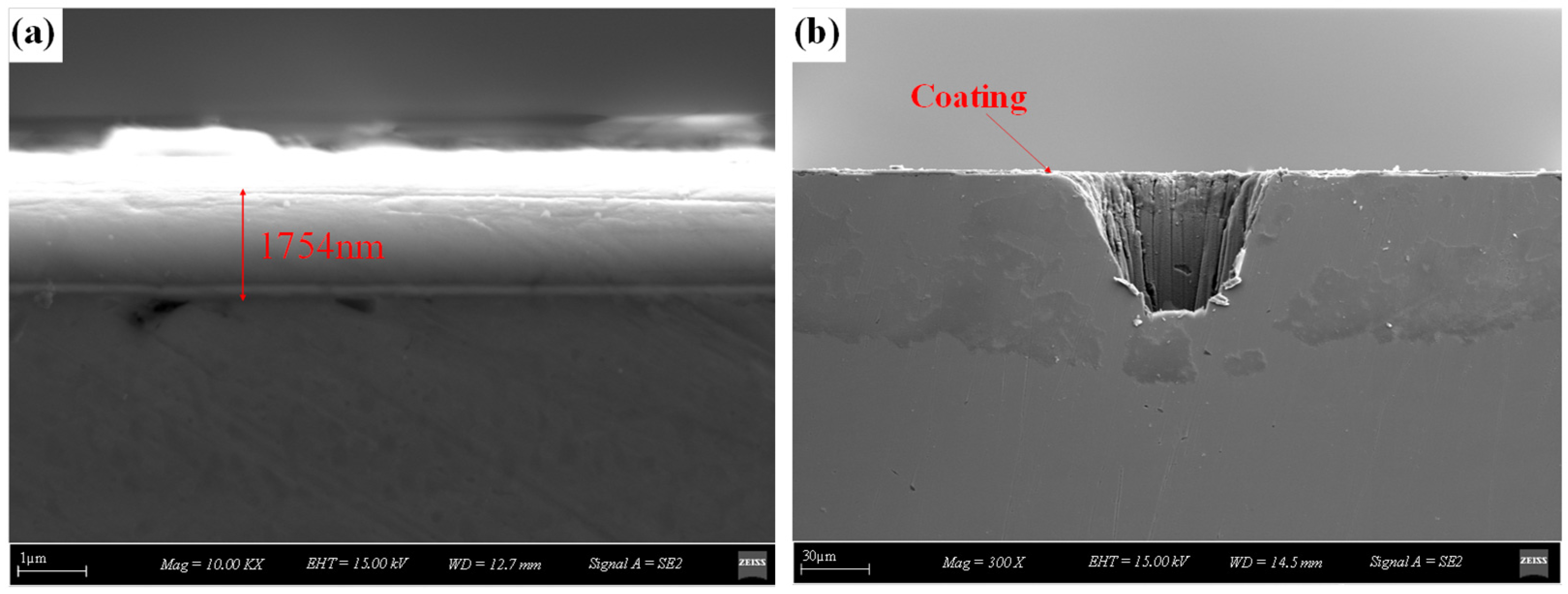 Lubricants 12 00374 g003