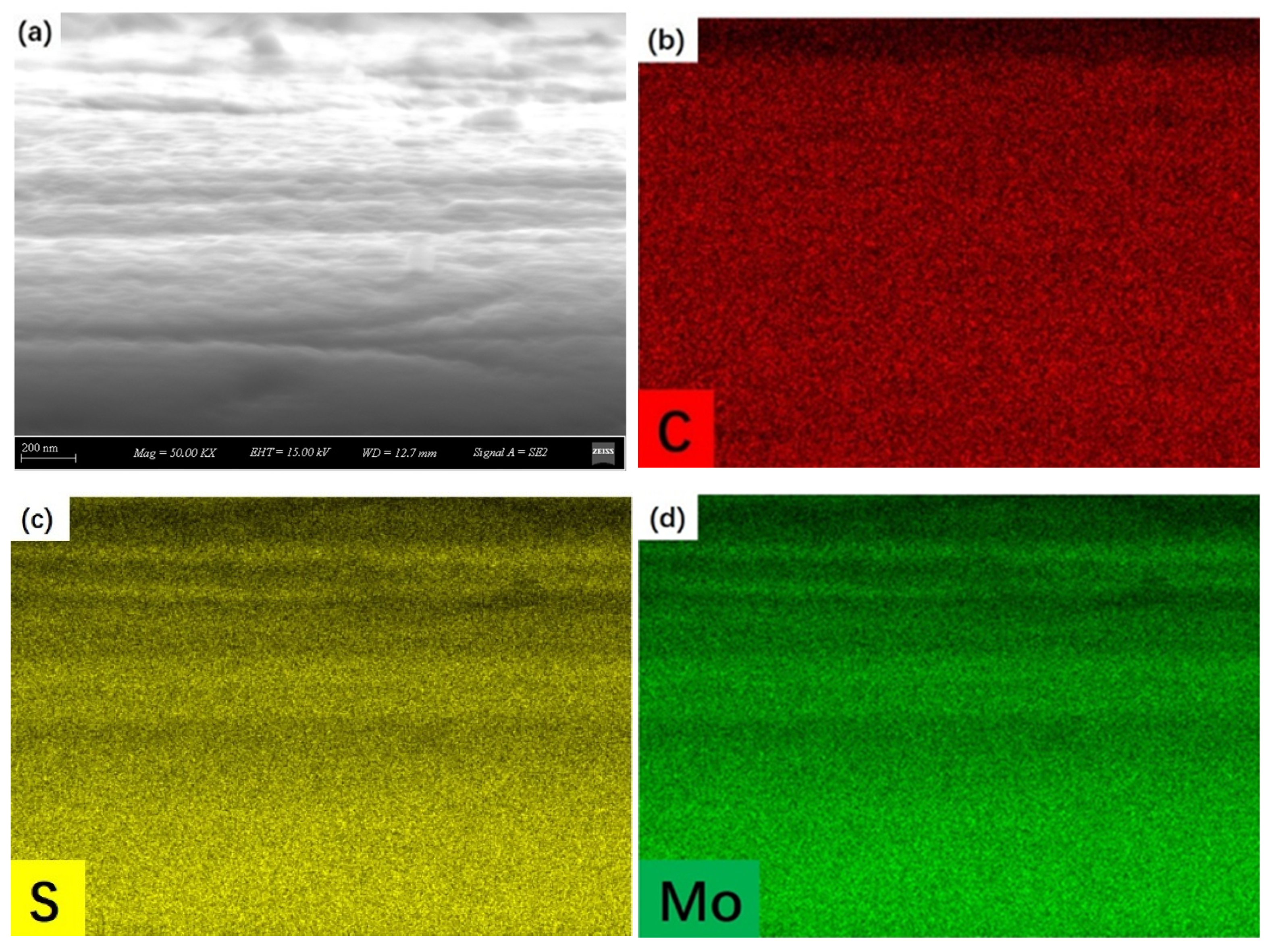 Lubricants 12 00374 g004