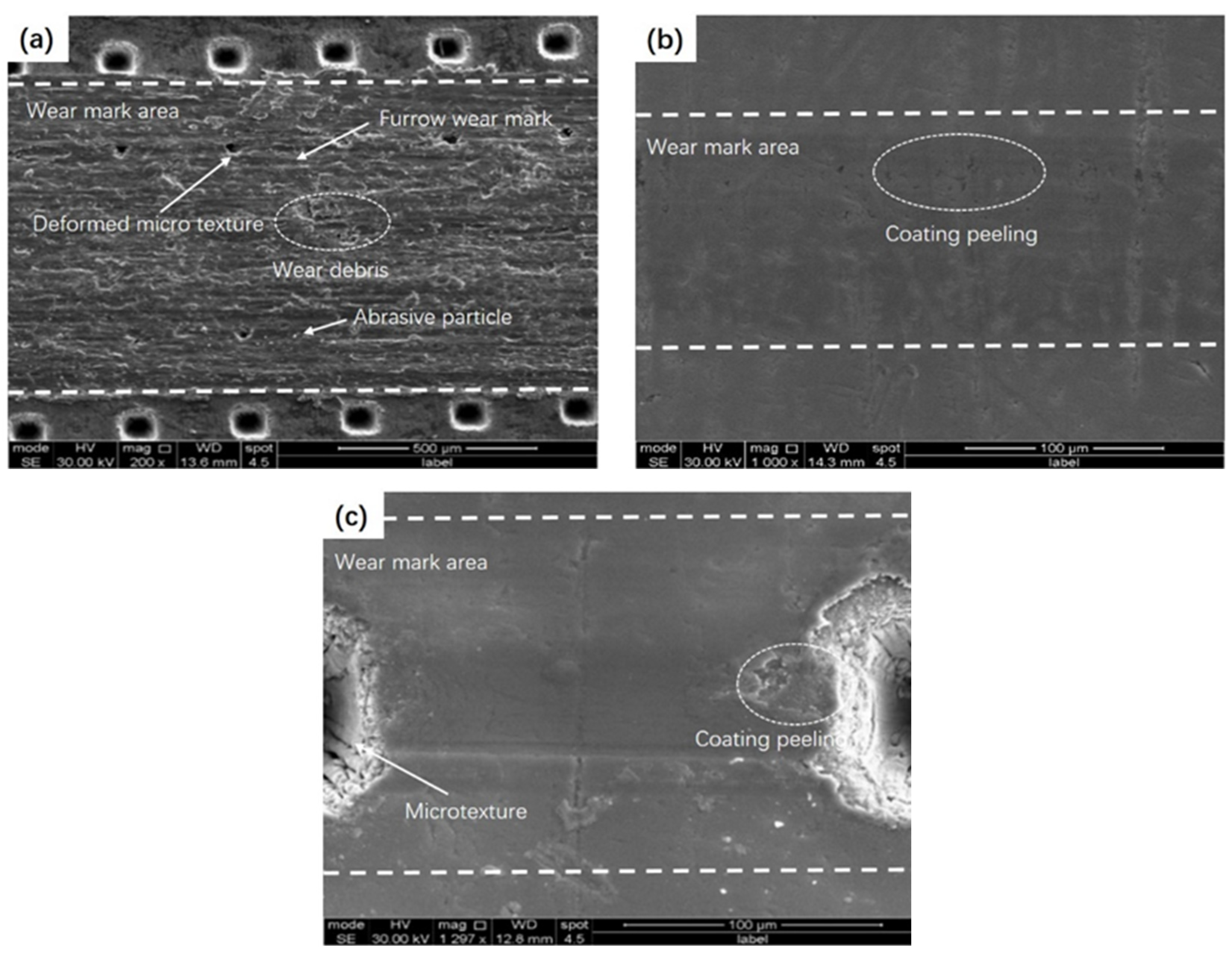 Lubricants 12 00374 g010