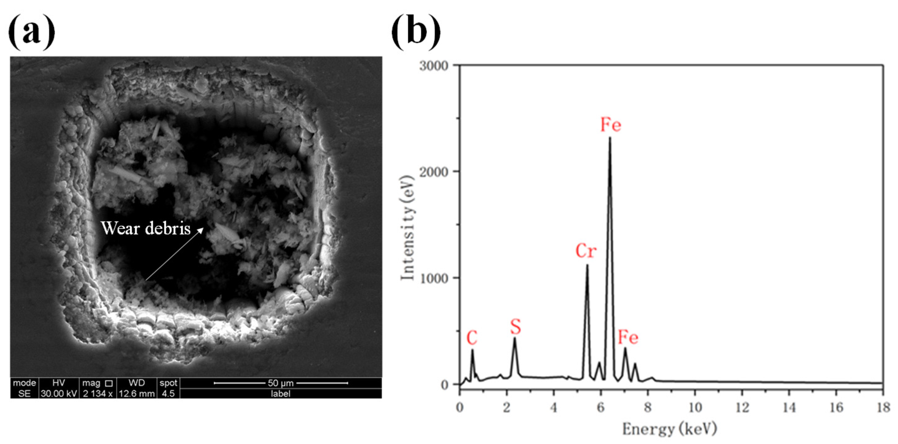Lubricants 12 00374 g011