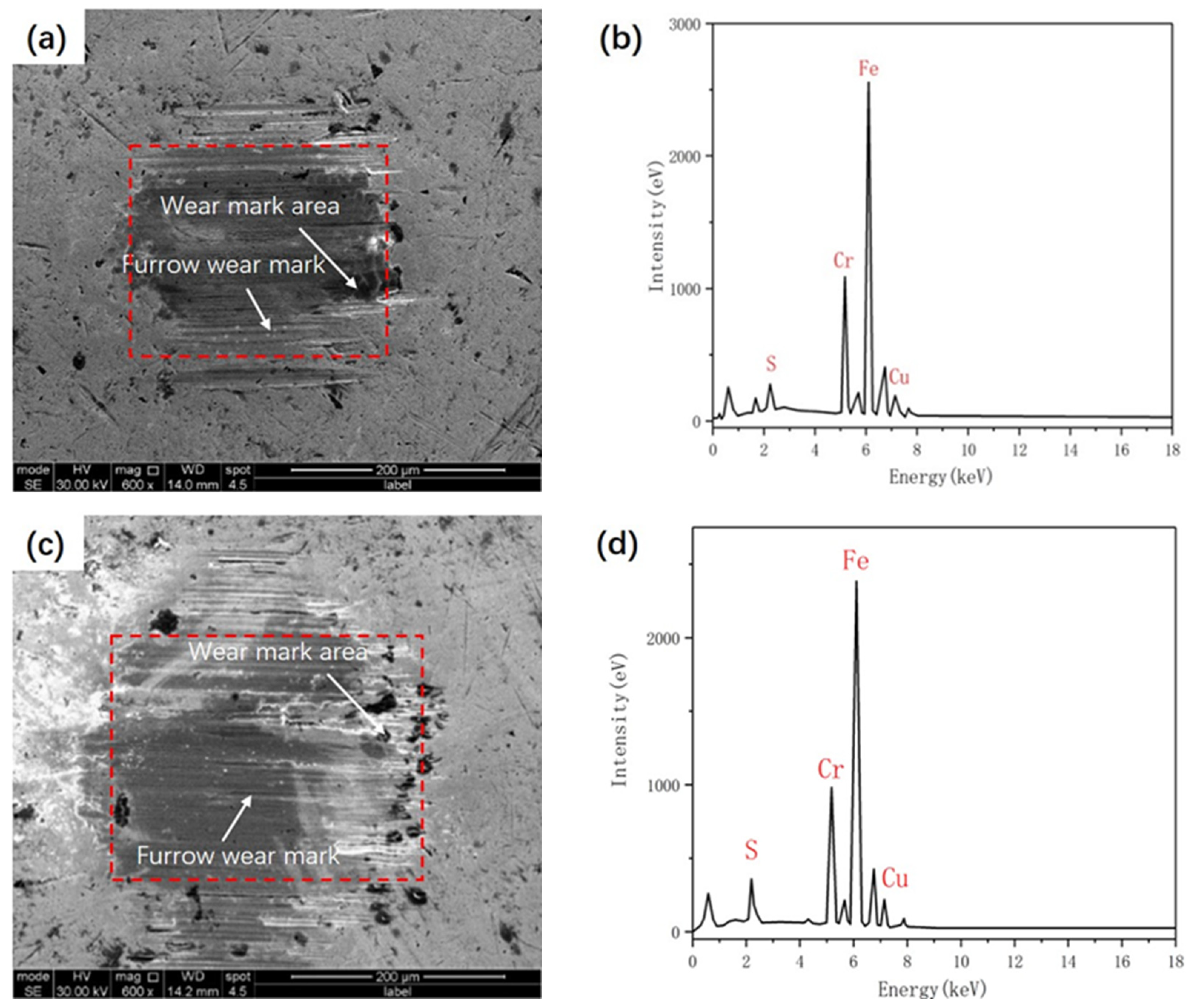 Lubricants 12 00374 g012