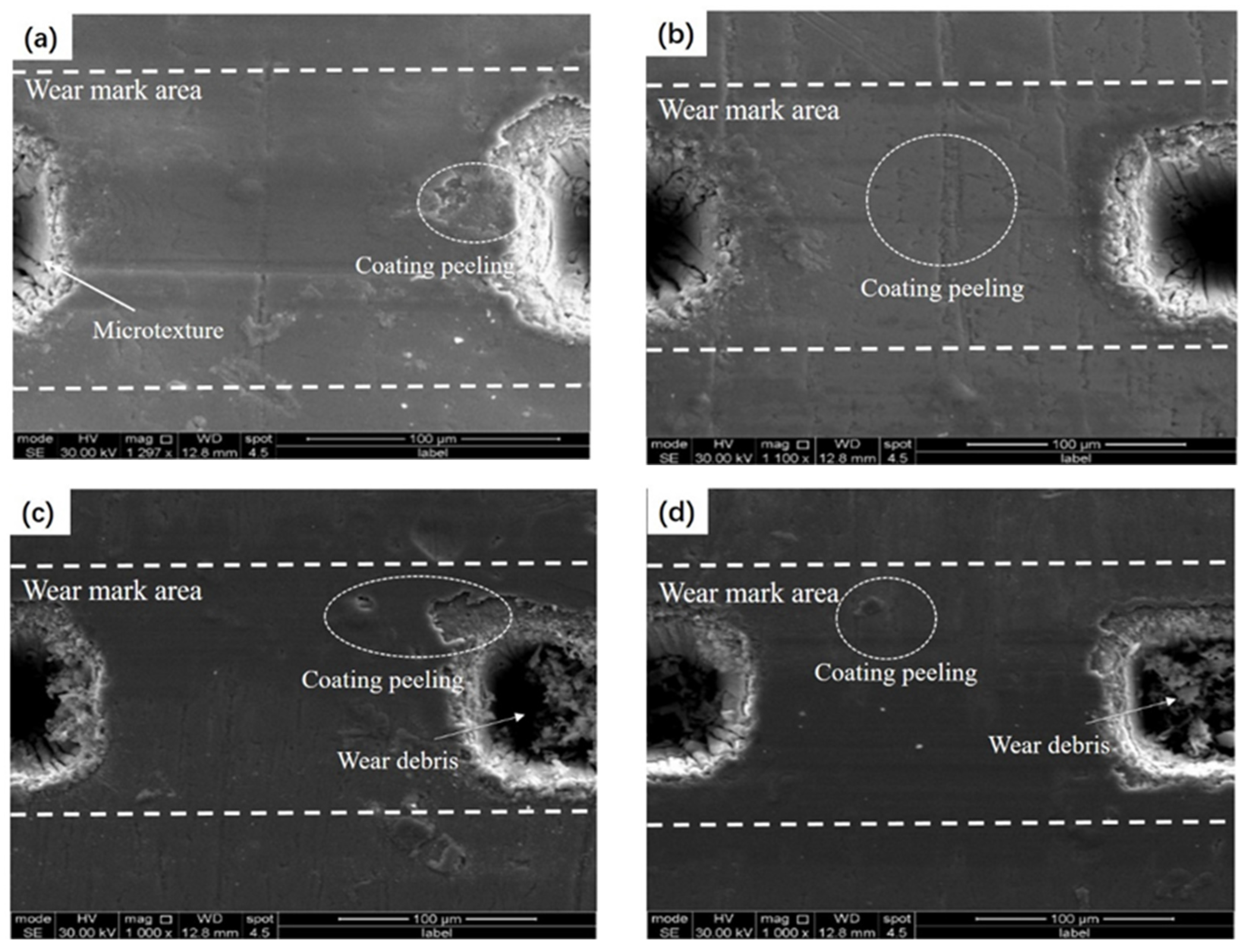 Lubricants 12 00374 g013