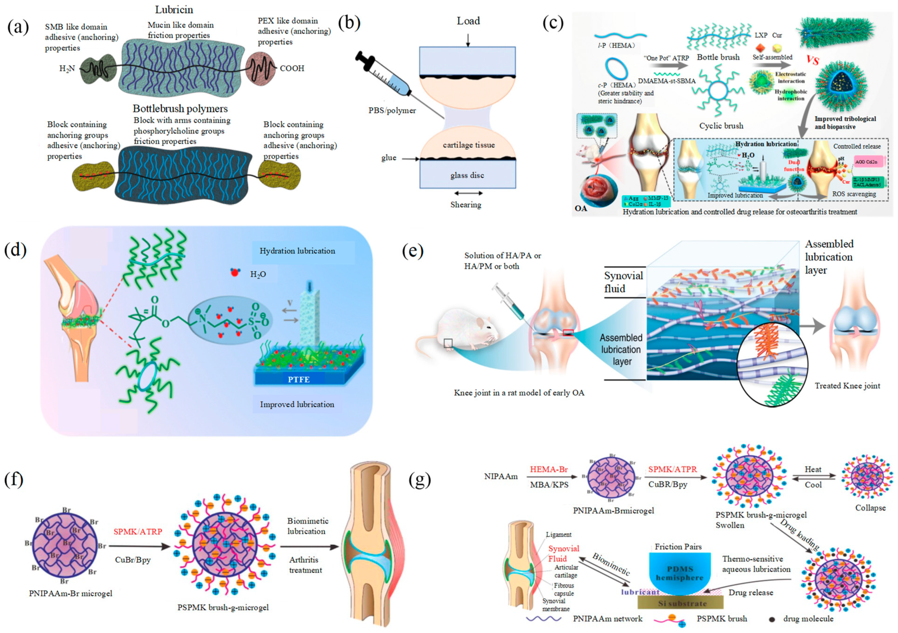Lubricants 12 00377 g002