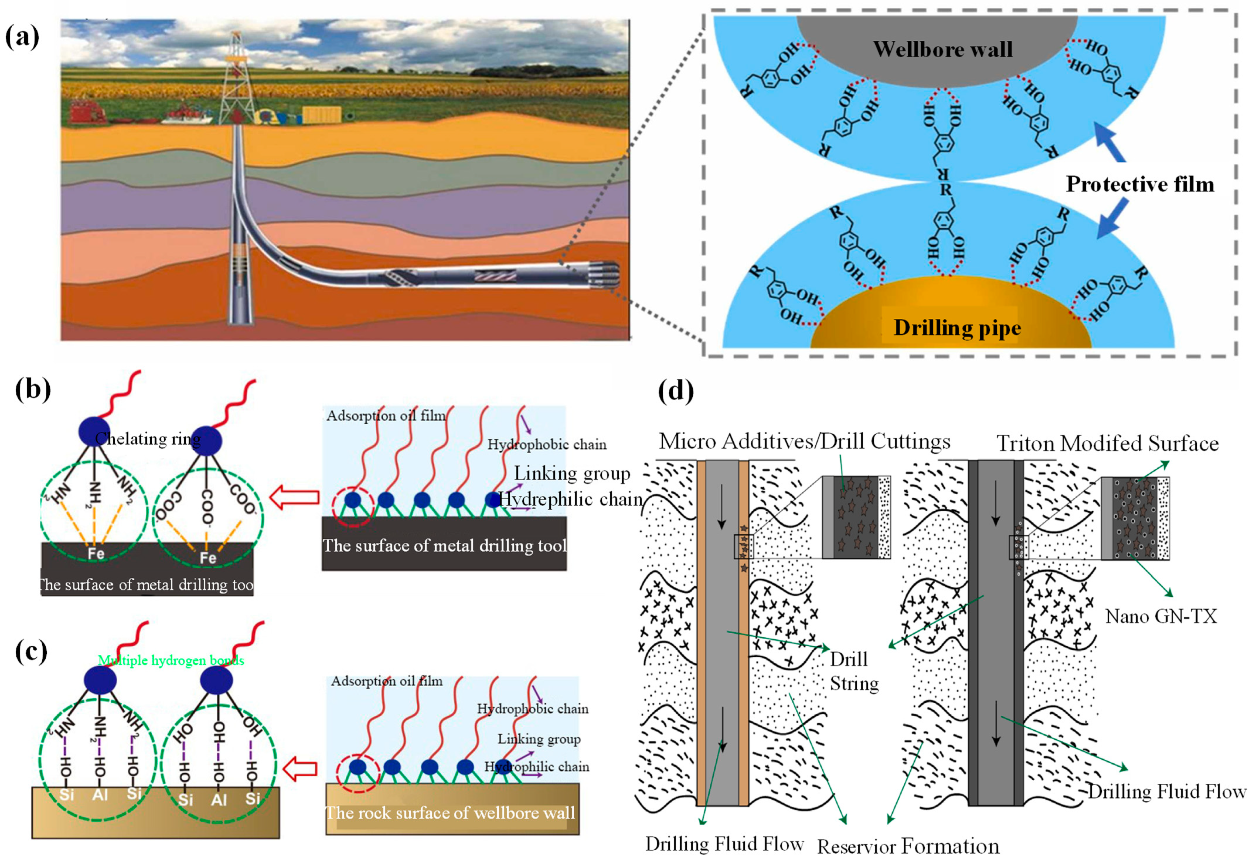Lubricants 12 00377 g004
