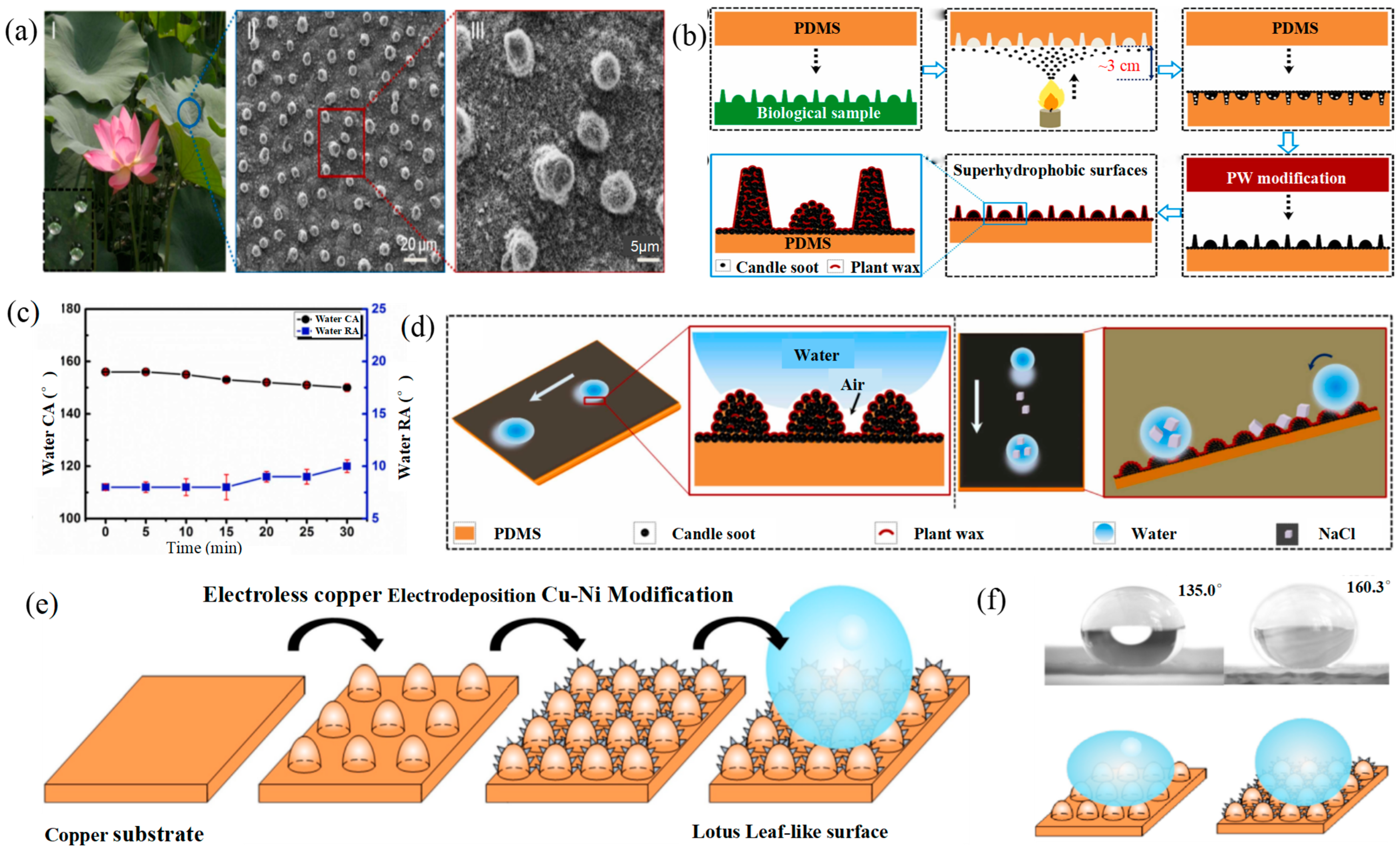 Lubricants 12 00377 g006