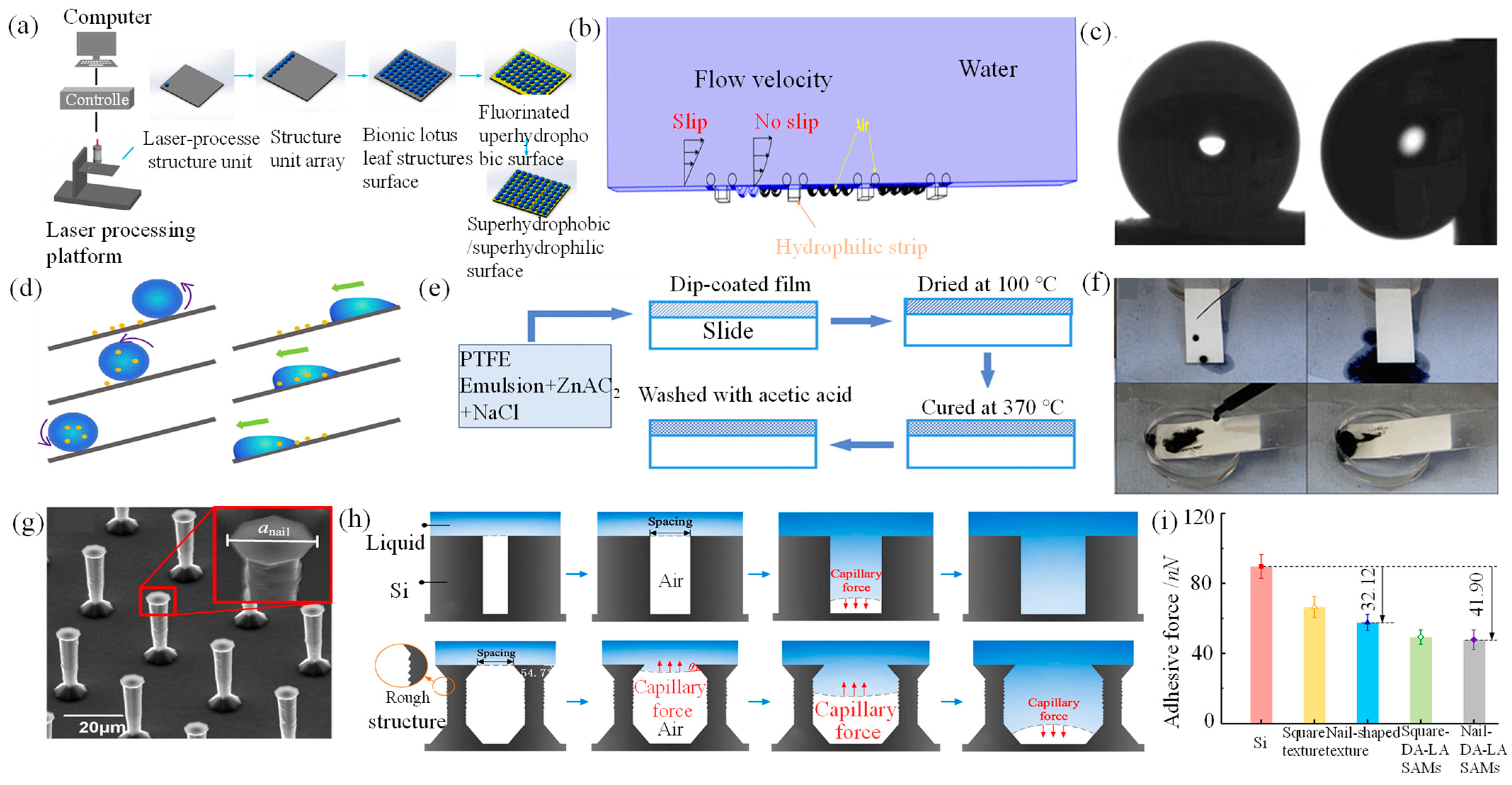 Lubricants 12 00377 g007