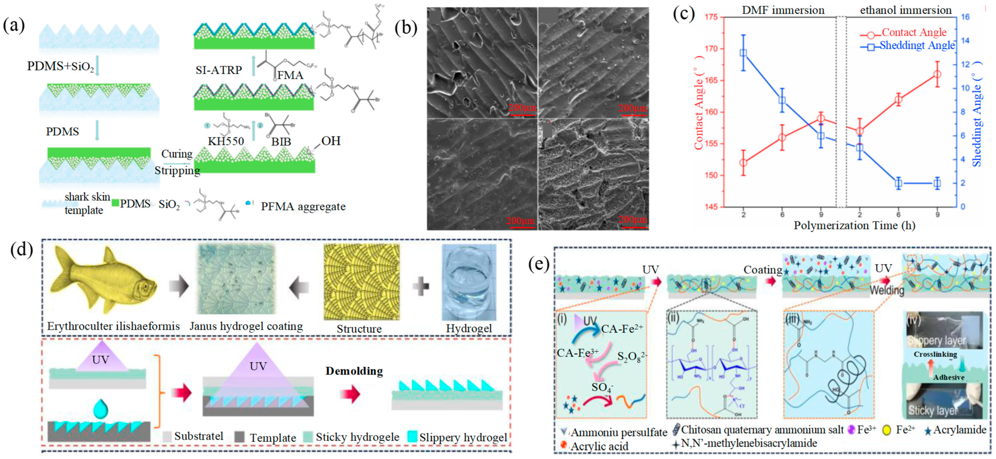 Lubricants 12 00377 g009